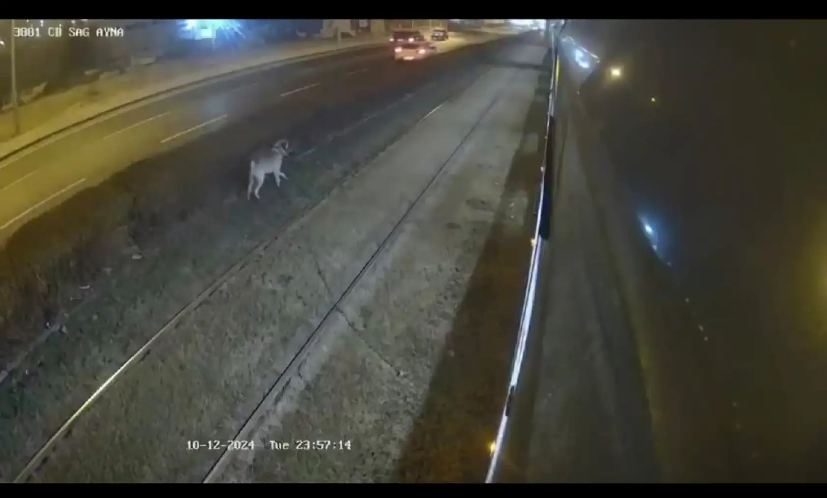 Kayseri'de raylı sistem hattında hareketli anlar!