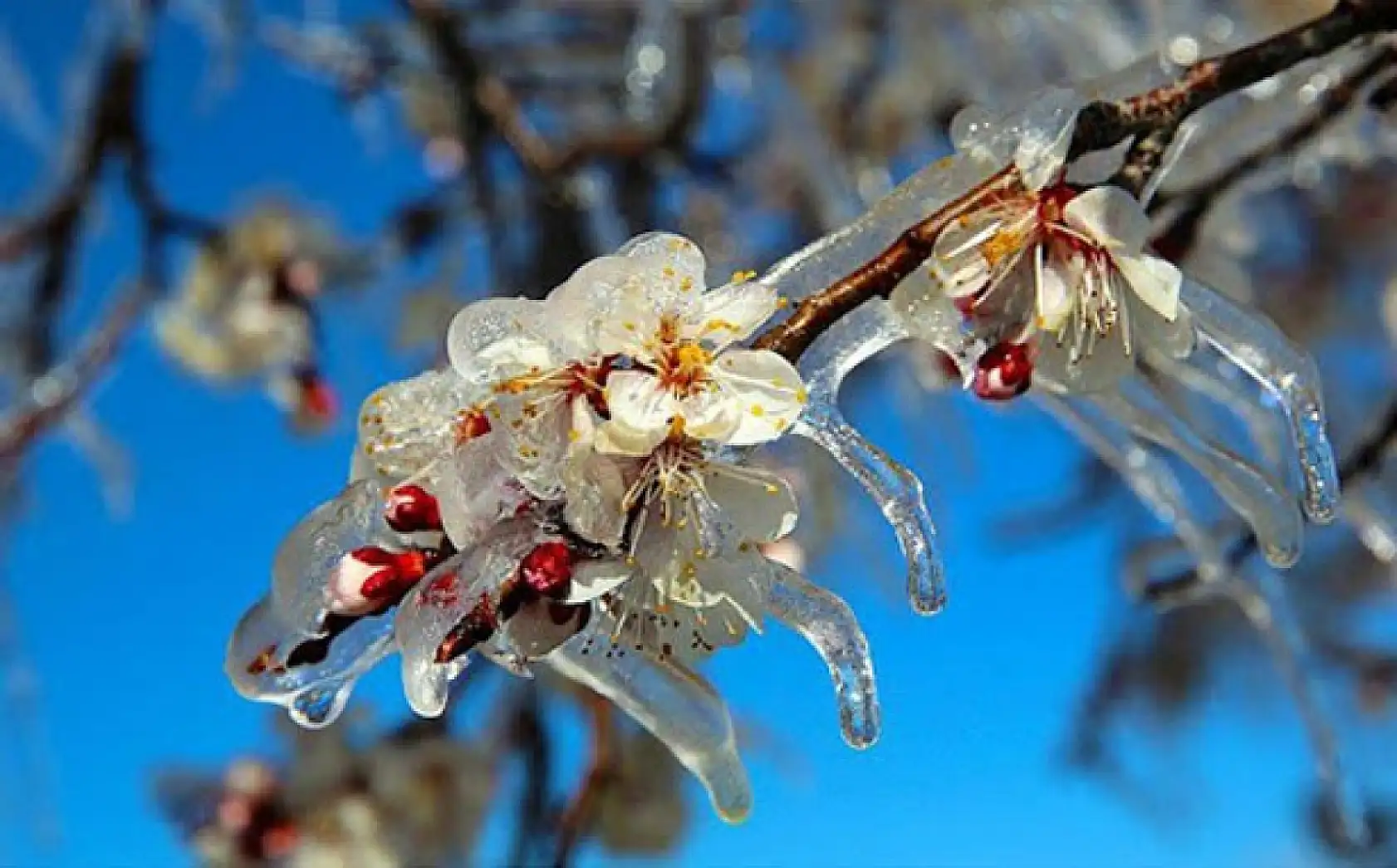 Kayseri'de o sektör de etkilendi: Satışlar düştü, iadeler başladı!