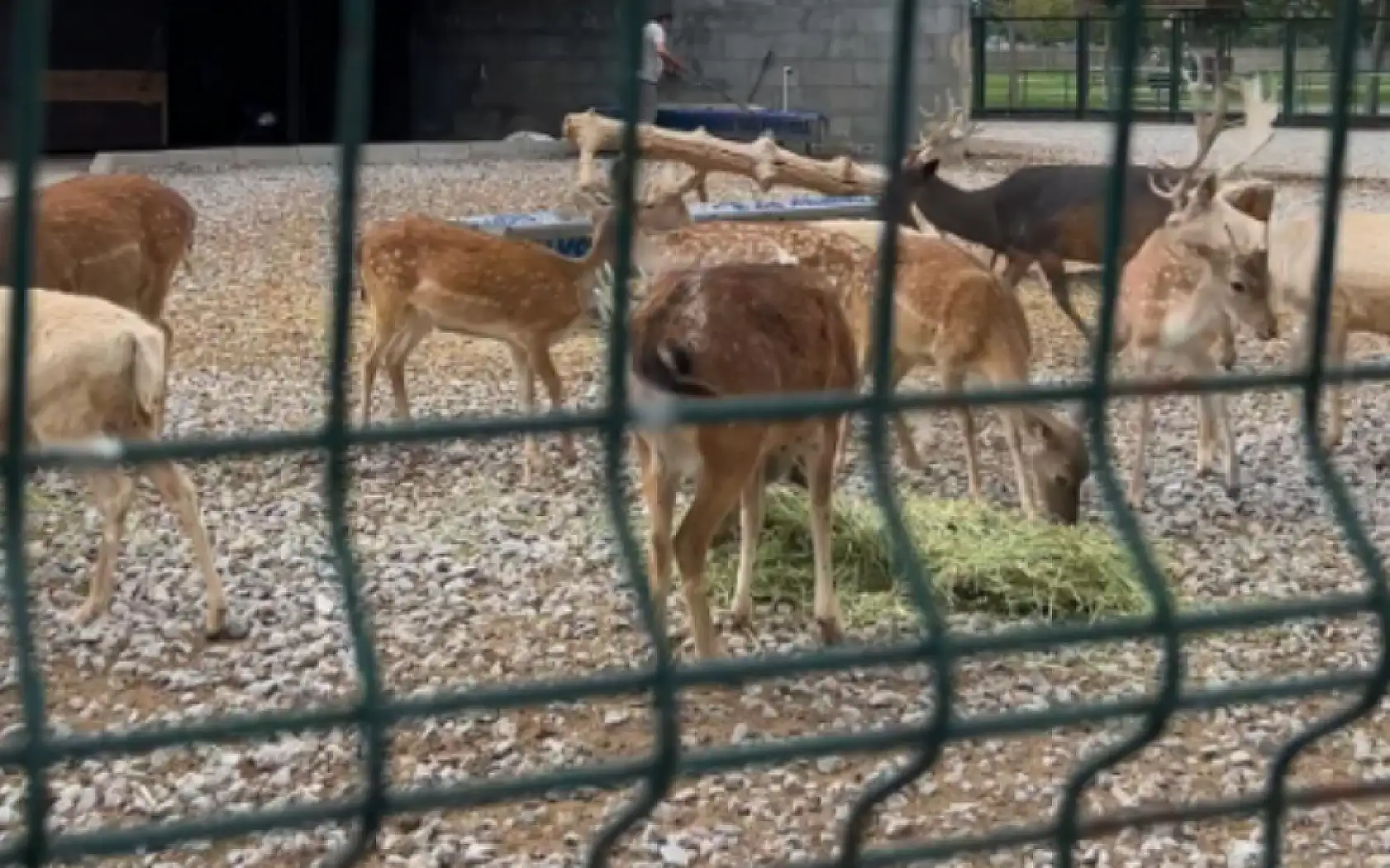 Kayseri'de Çocuklu Aileler İçin Etkinlikler