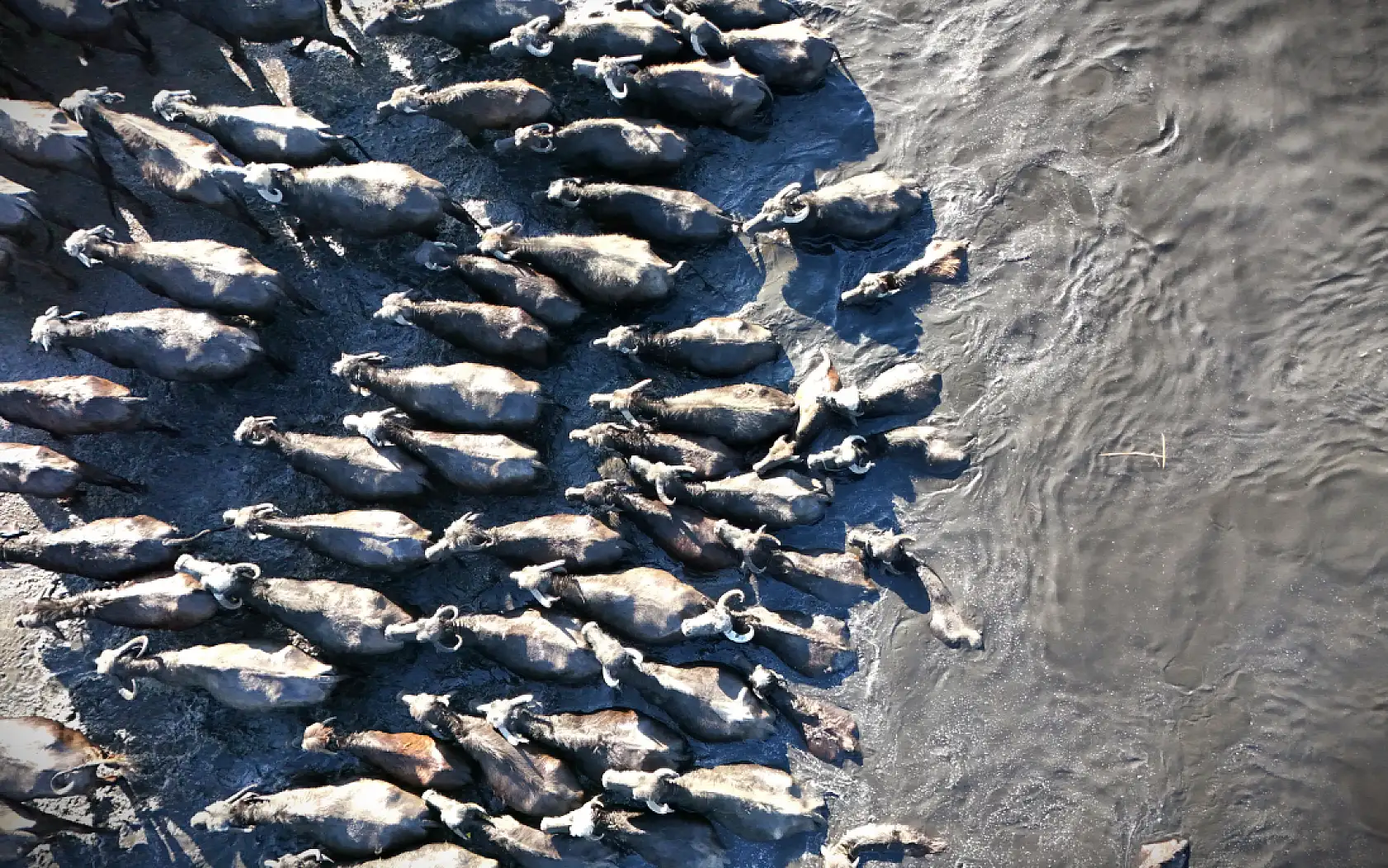 Kayseri'de bu yer yazın safari - Kışın buz pisti: İşte o görüntüler!