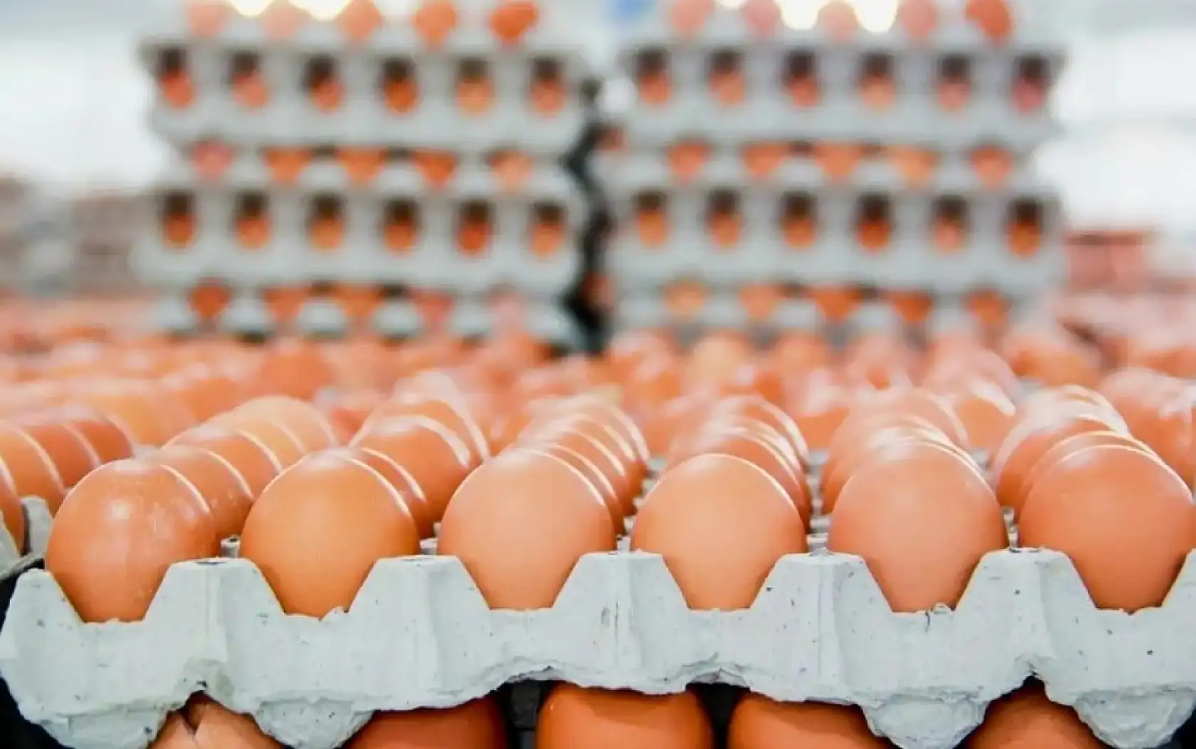 Kayseri'den kısa kısa (10 Mayıs)-Ulaşım, Vefat, Meteoroloji, Akülü Araç, Muhtarlar, TOKİ, Yumurta...