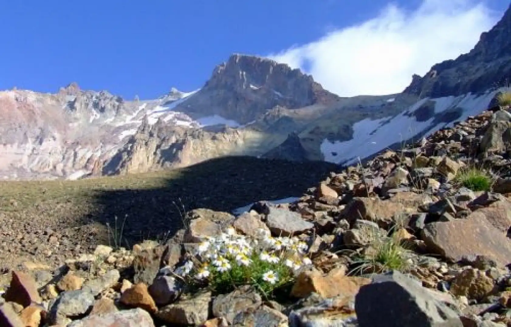 Kayseri'nin ismini taşıyorlar, ama Kayseri onlardan habersiz!