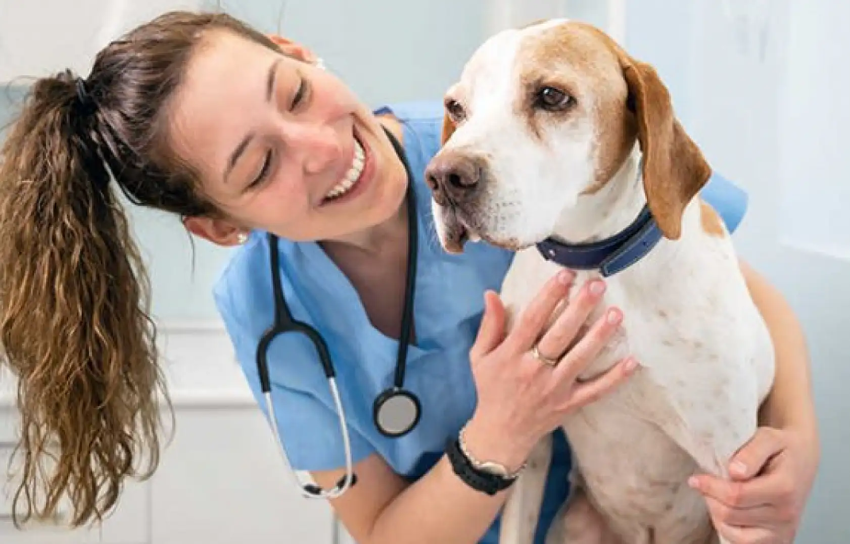 Erciyes Üniversitesi'ndeki bu kurs kaçmaz!