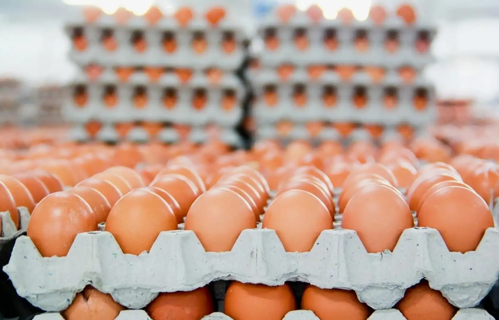 Kayseri'de de balon patladı: Fiyatı düştükçe düşüyor!