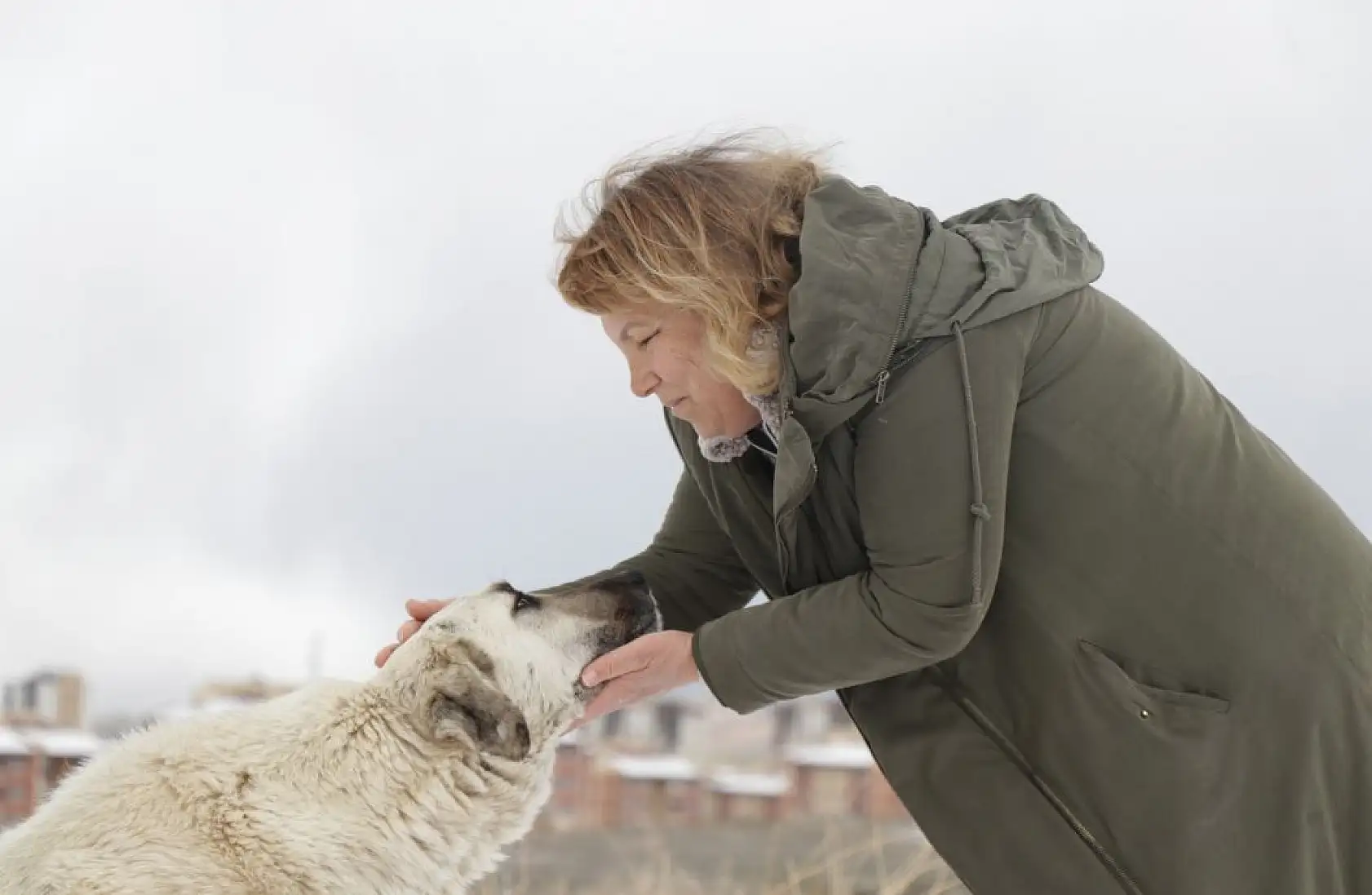 Gül teyze sahipsiz hayvanlara kucak açıyor