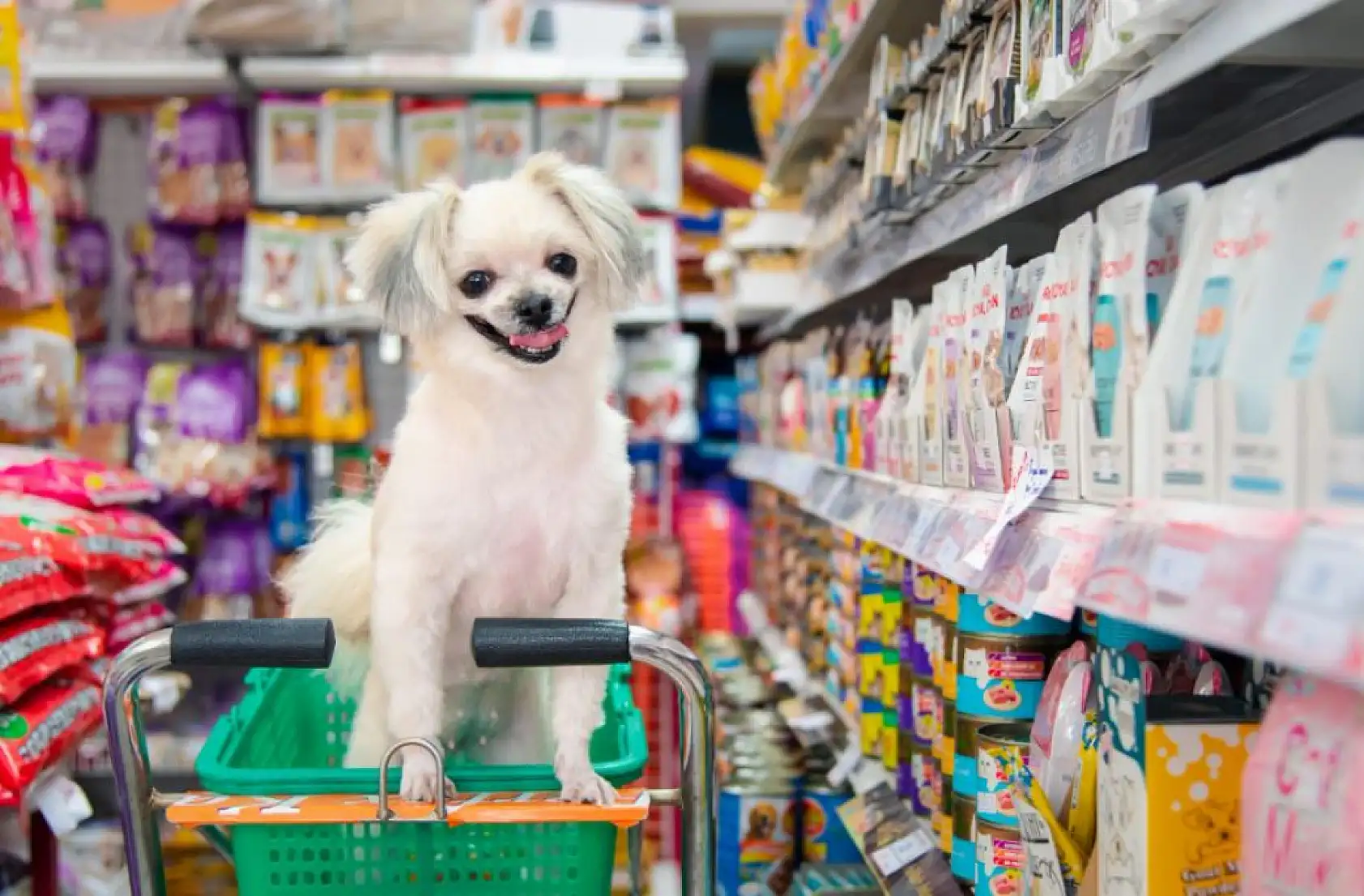 Kayseri'de fiyatı en fazla artan ve azalan ürünler belli oldu!