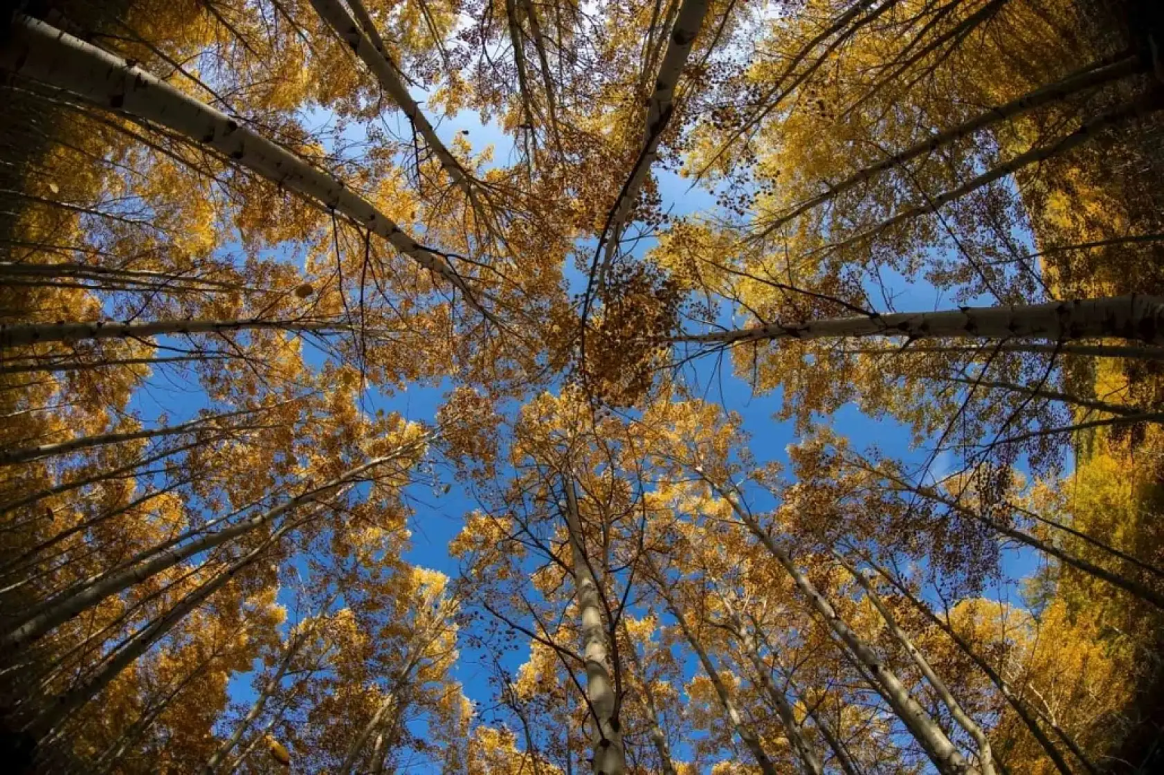 Hacılar'a gitmek için sebep çok – İşte mest olacağınız o güzellikler…