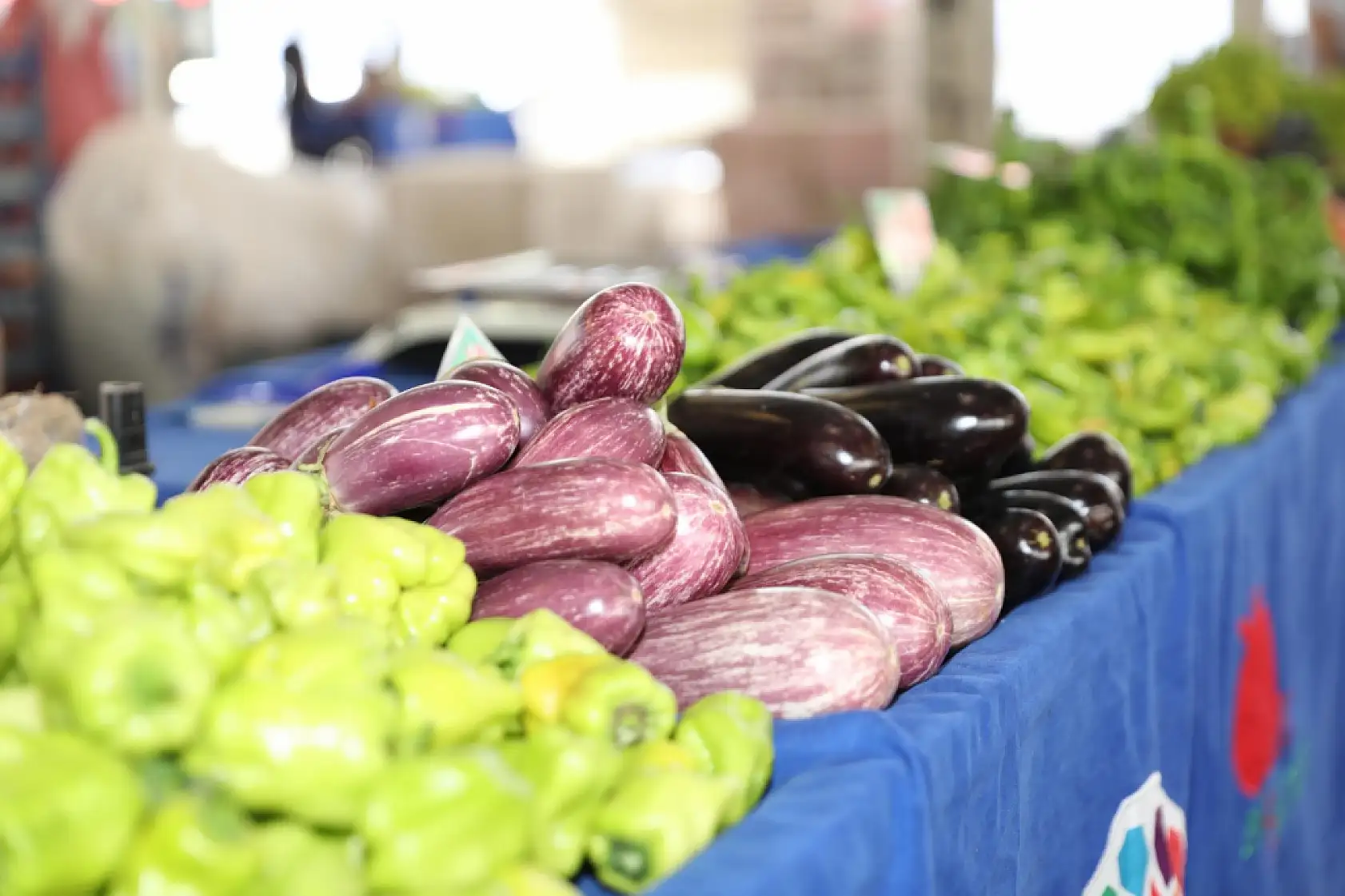Kayseri'nin tek organik pazarı büyümeye devam ediyor!