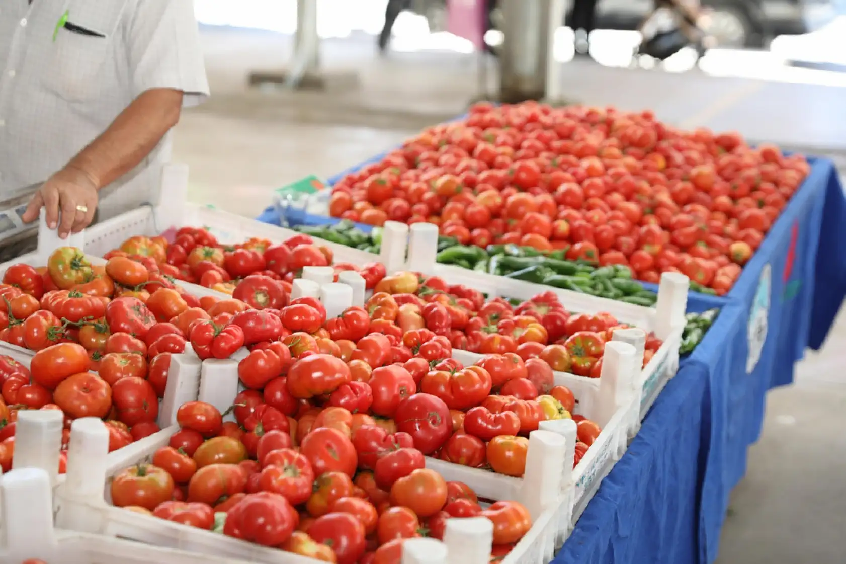 Kayseri'nin tek organik pazarı büyümeye devam ediyor!