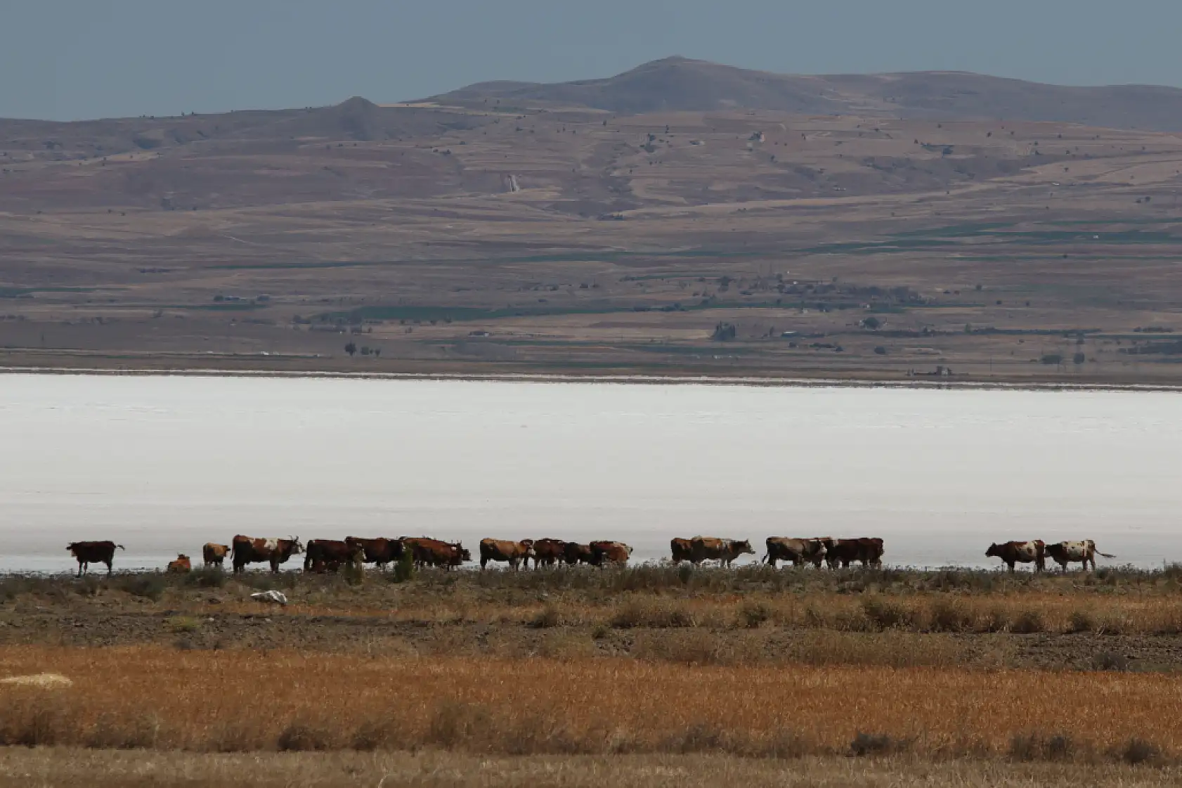 Kayseri'nin beyaz cenneti: Palas Tuzla Gölü'nde görsel şölen!