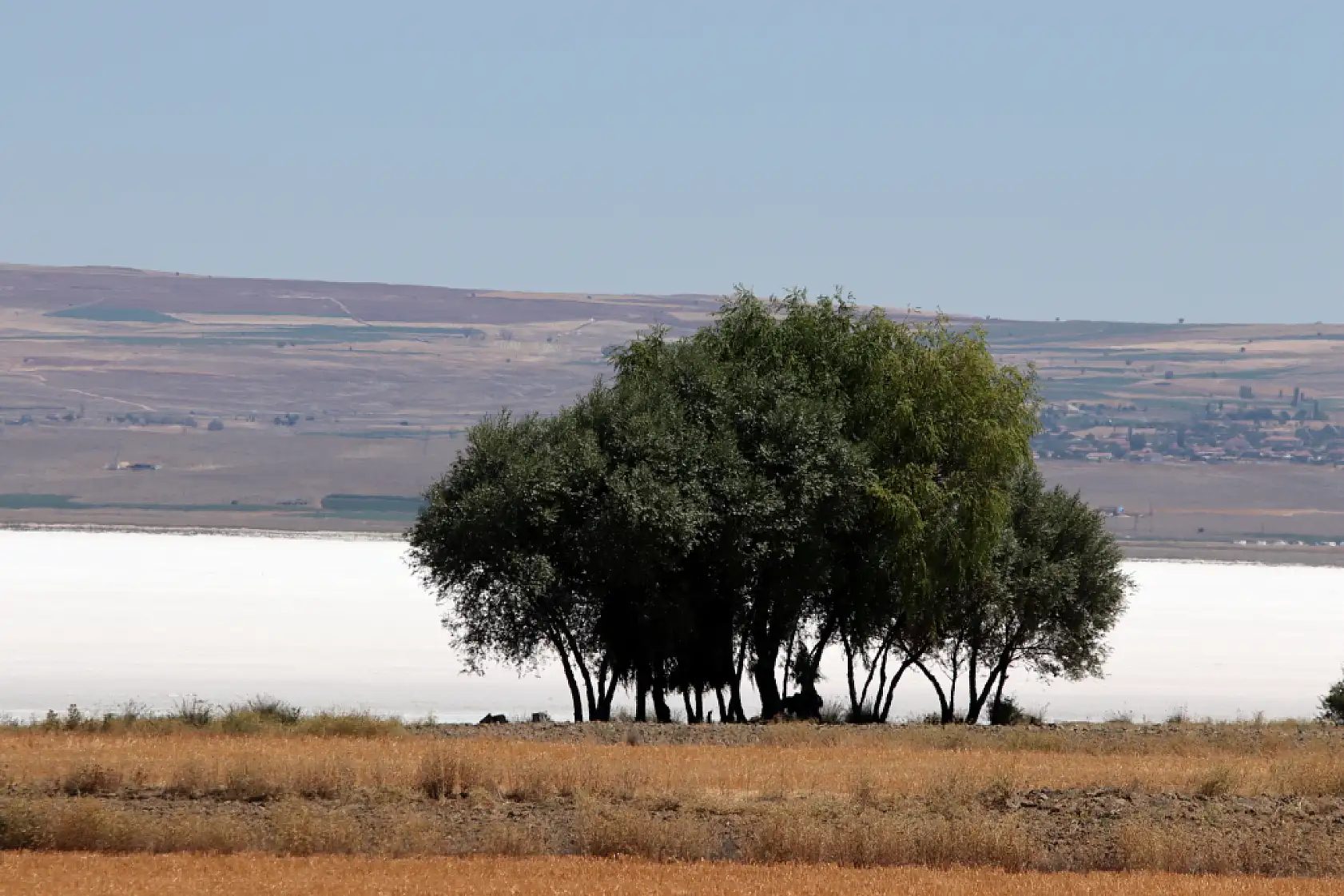 Kayseri'nin beyaz cenneti: Palas Tuzla Gölü'nde görsel şölen!