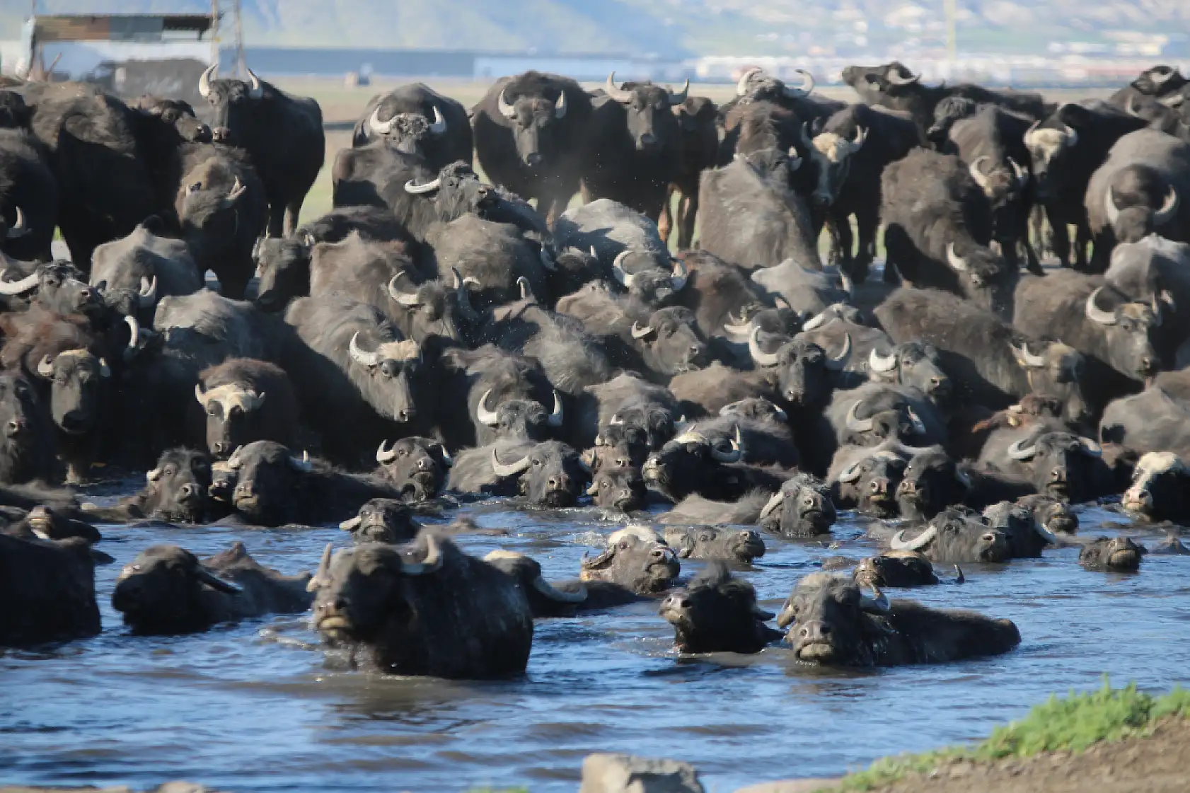 Kayseri'de bu yer yazın safari - Kışın buz pisti: İşte o görüntüler!