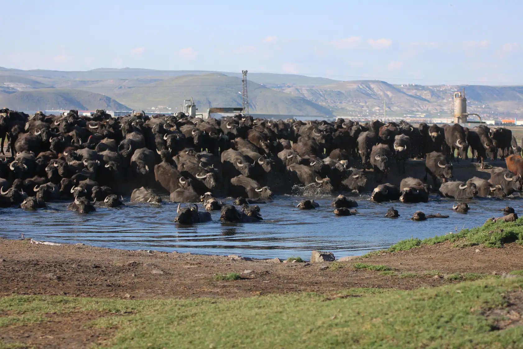 Kayseri'de bu yer yazın safari - Kışın buz pisti: İşte o görüntüler!