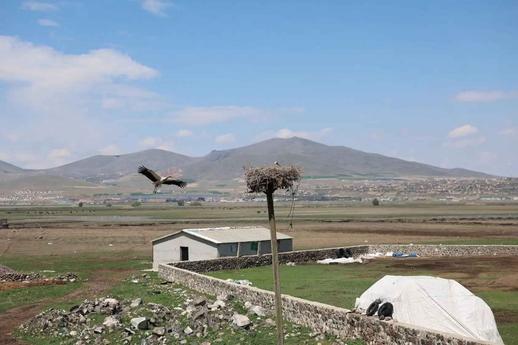 Göçmen Leylekler Hürmetçi Sazlığı'nda mola verdi