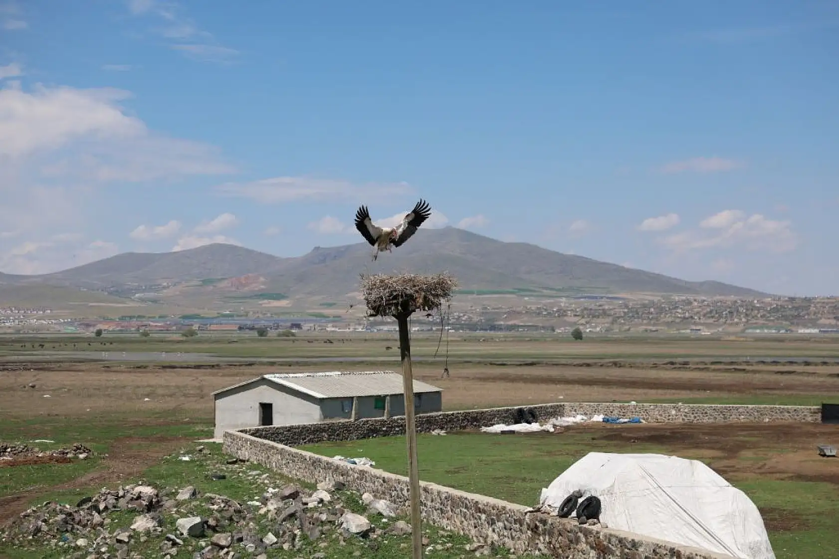 Göçmen Leylekler Hürmetçi Sazlığı'nda mola verdi