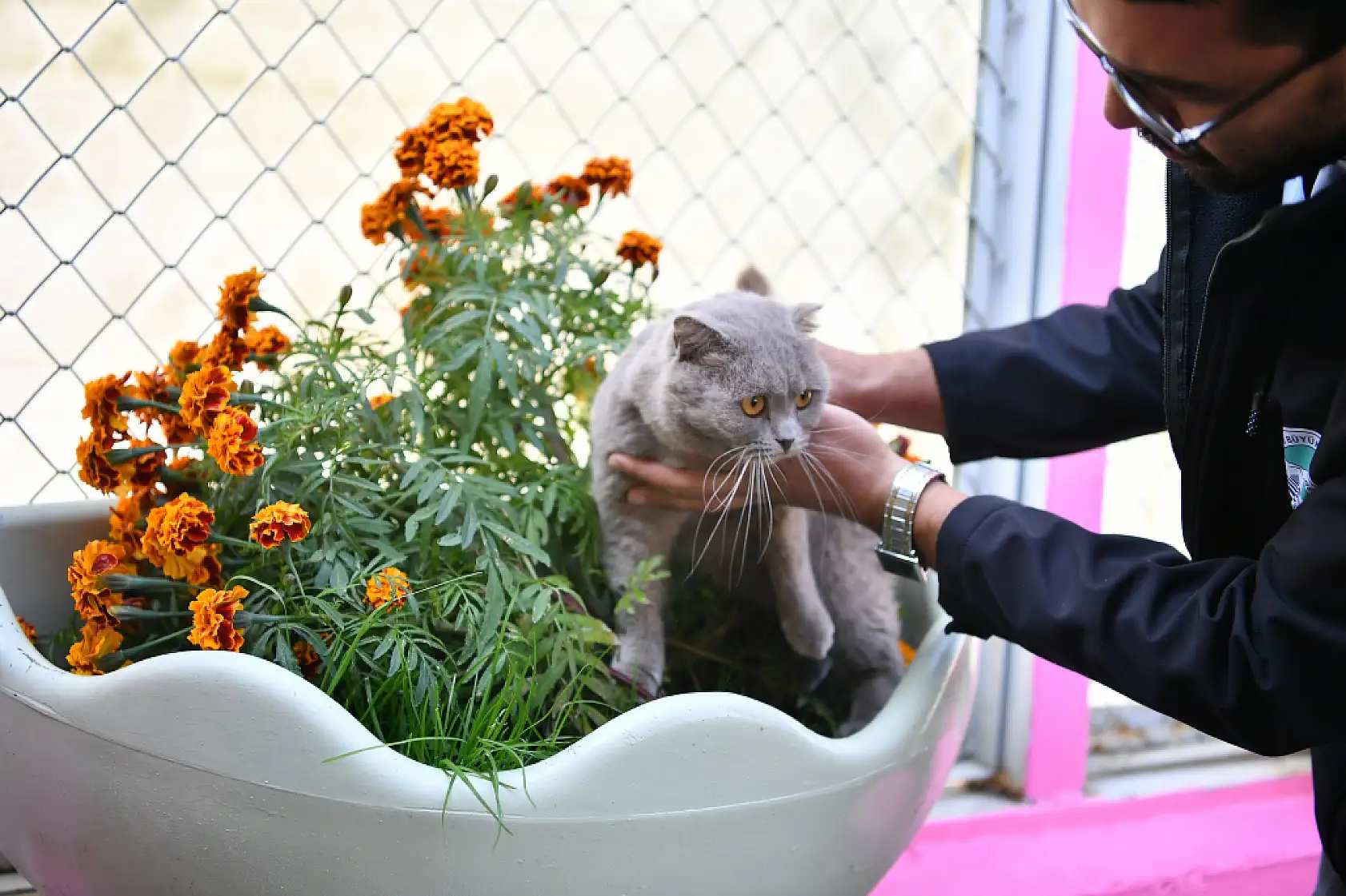 Kayseri'de patili dostlara yaşam desteği: İşte renkli fotoğraflar!