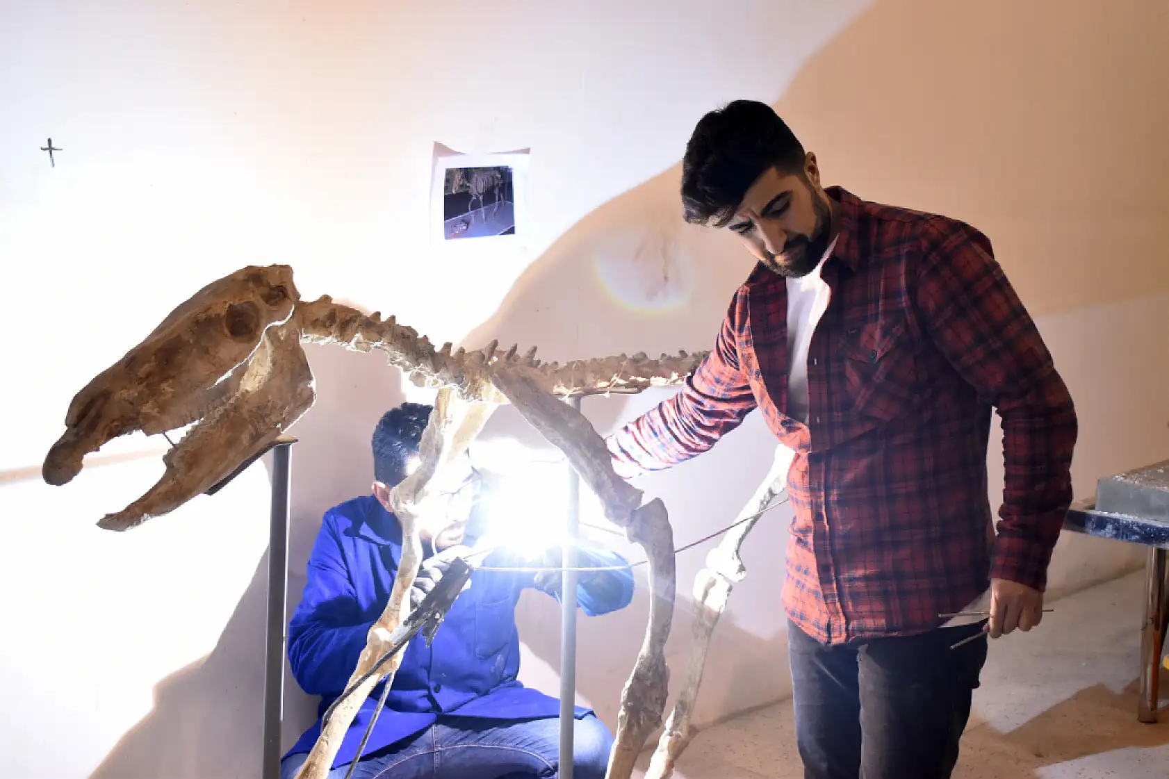 Milyonlarca yıllık fosiller Kayseri'den Dünya paleontoloji tarihine yol gösteriyor