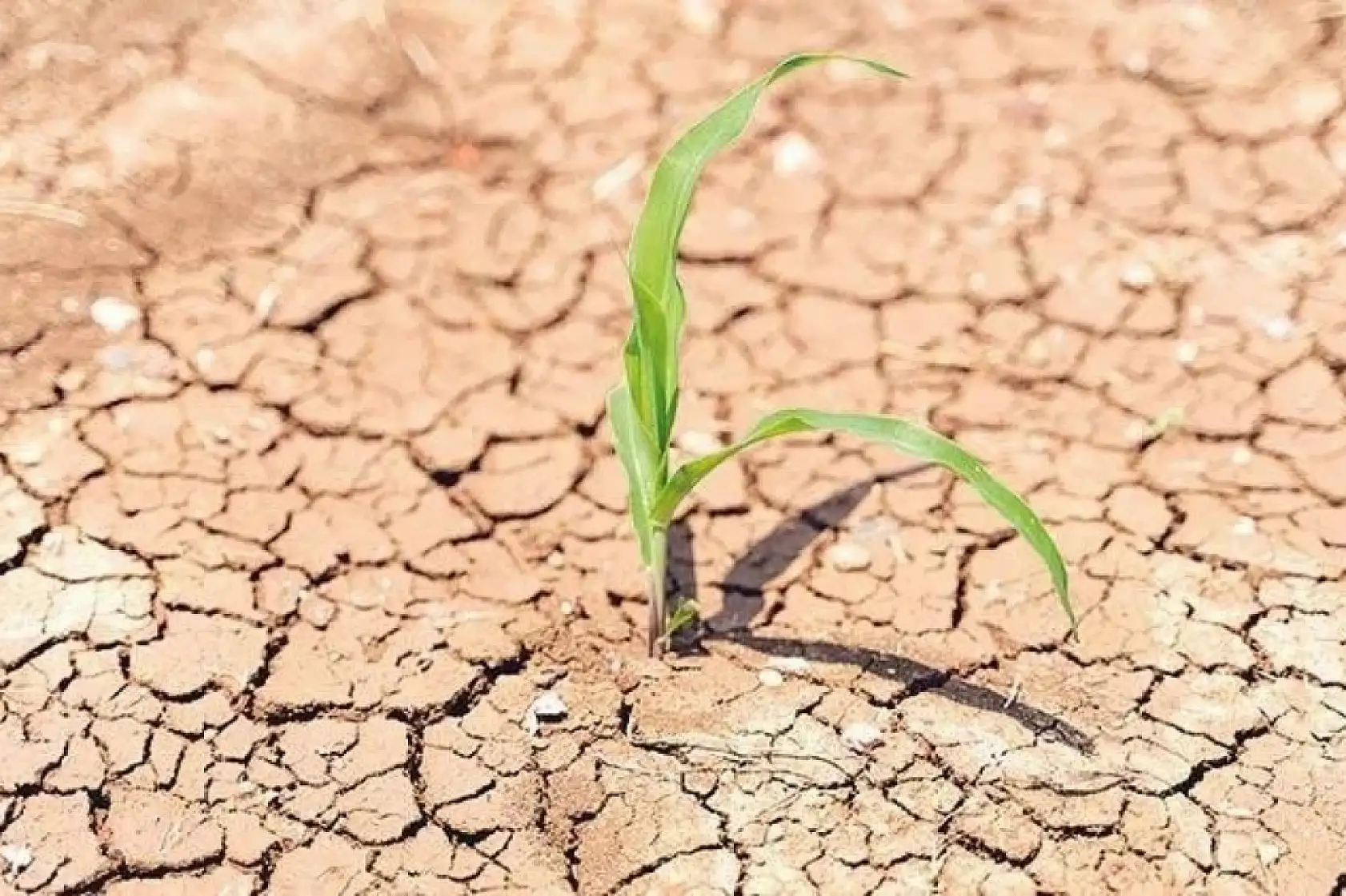 Kaynaklar gitgide azalıyor-100 yıl sonrası için korkutan tahmin!