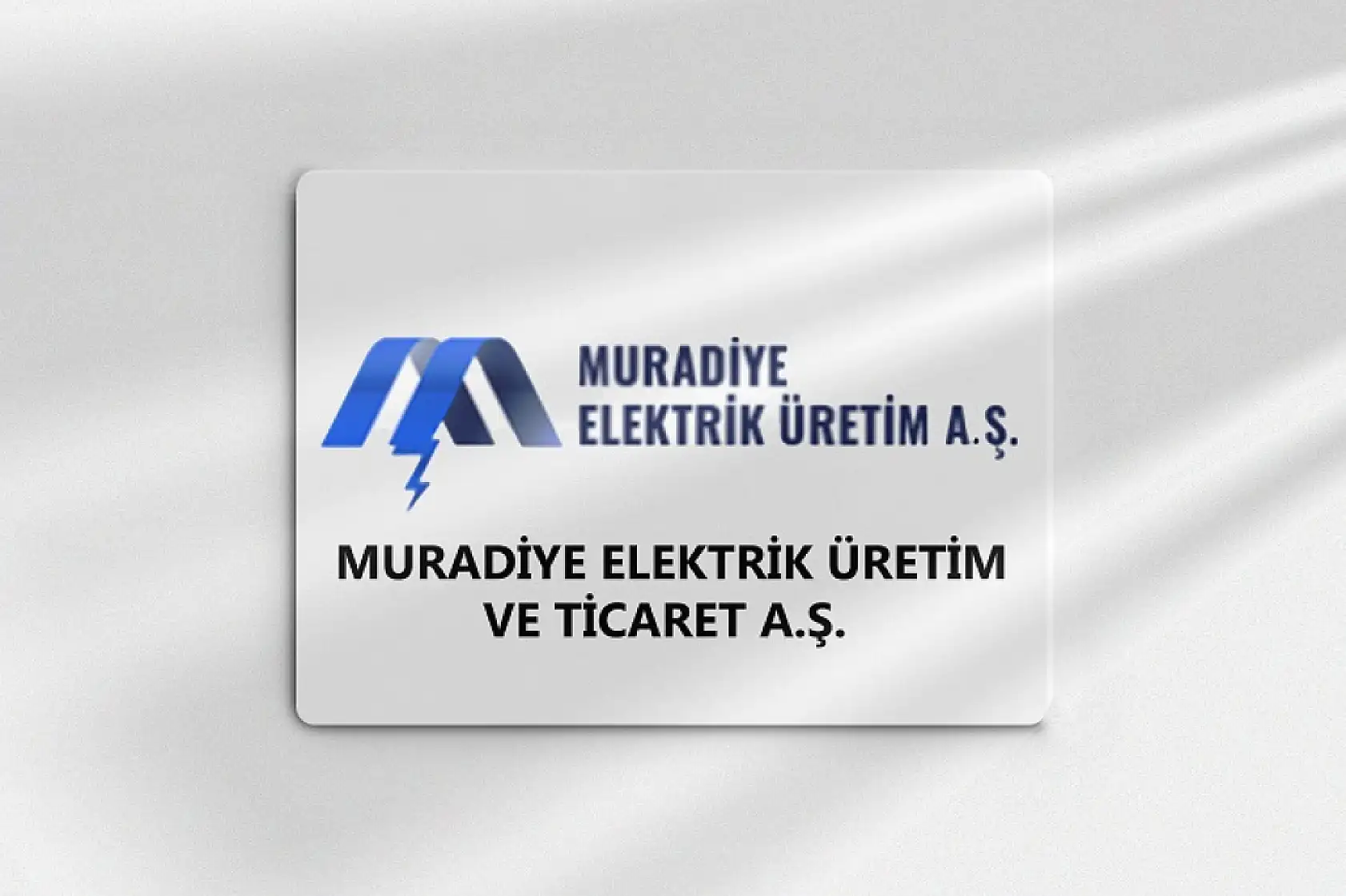 Erciyes Anadolu Holding'in satışa çıkardığı firmalarda son durum ne?