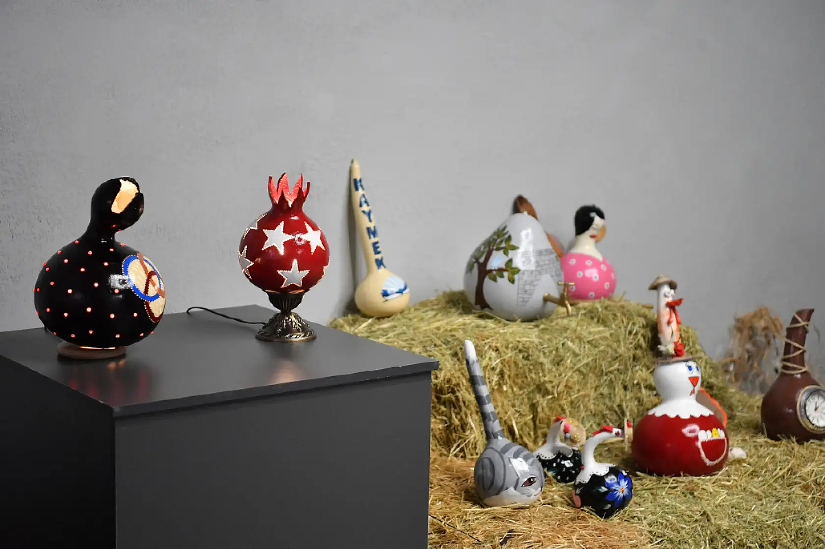 Kayseri'de 'su kabağı' sergisi