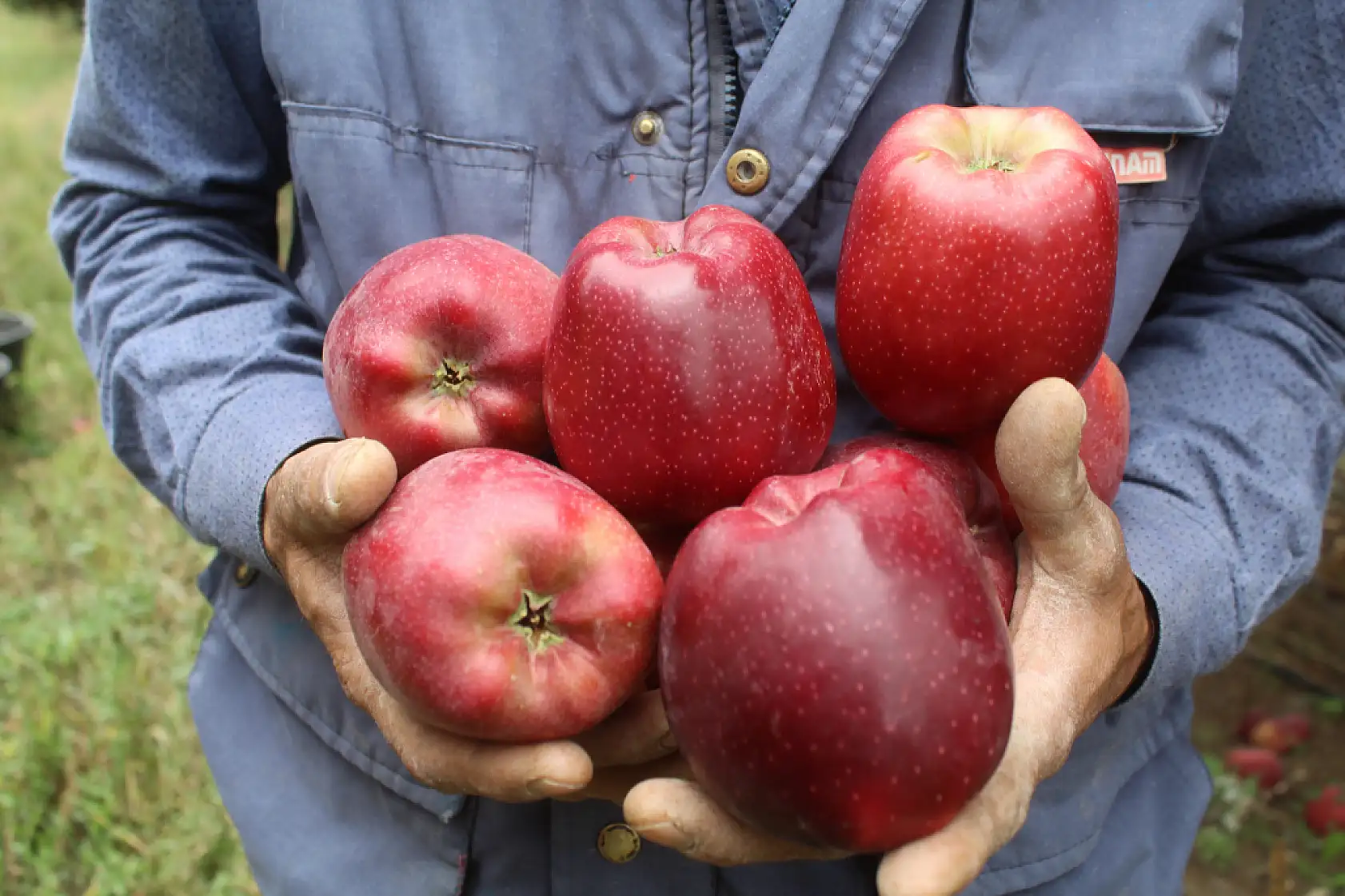 Kayseri'den dünya mutfağına - İhracatta büyük başarı!