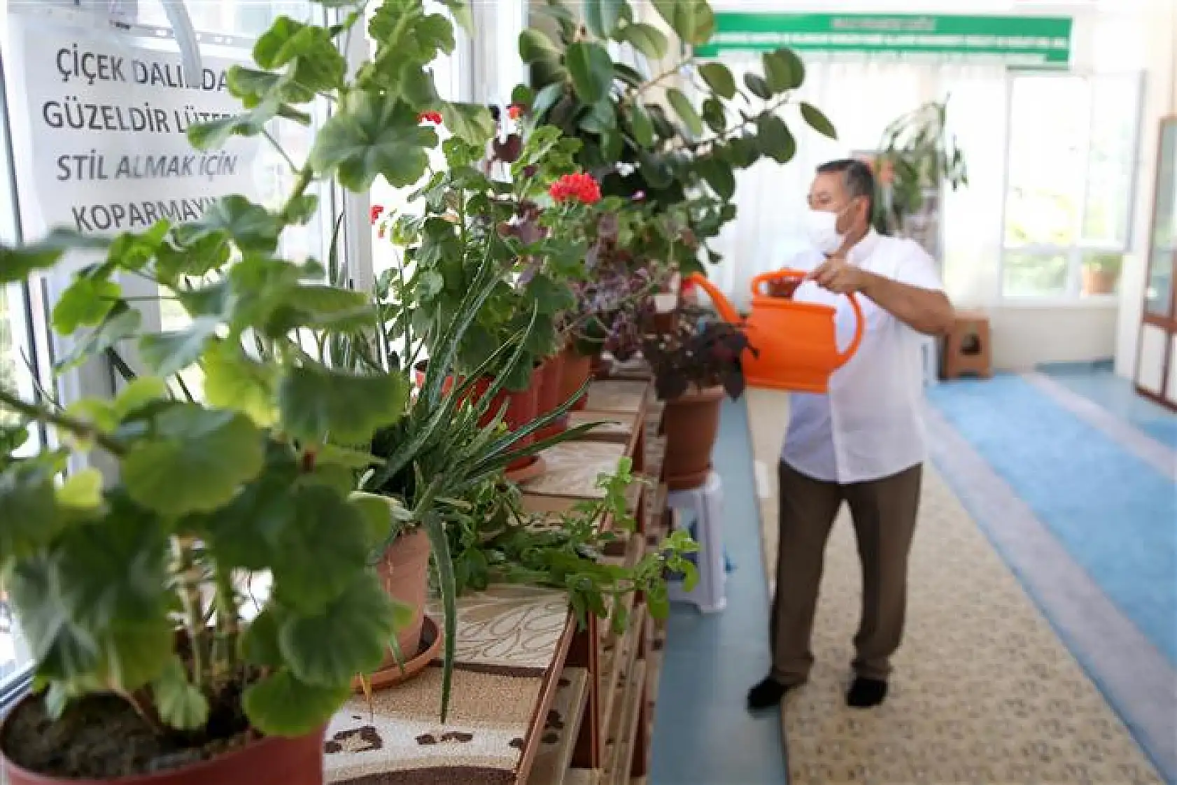 İmamın çiçek sevgisi camiyi bahçeye çevirdi