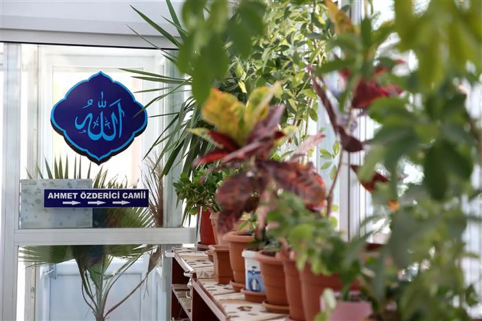 İmamın çiçek sevgisi camiyi bahçeye çevirdi