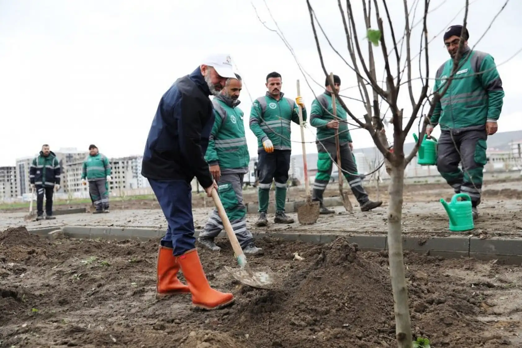 Kocasinan'dan 'meyveli park' projesi