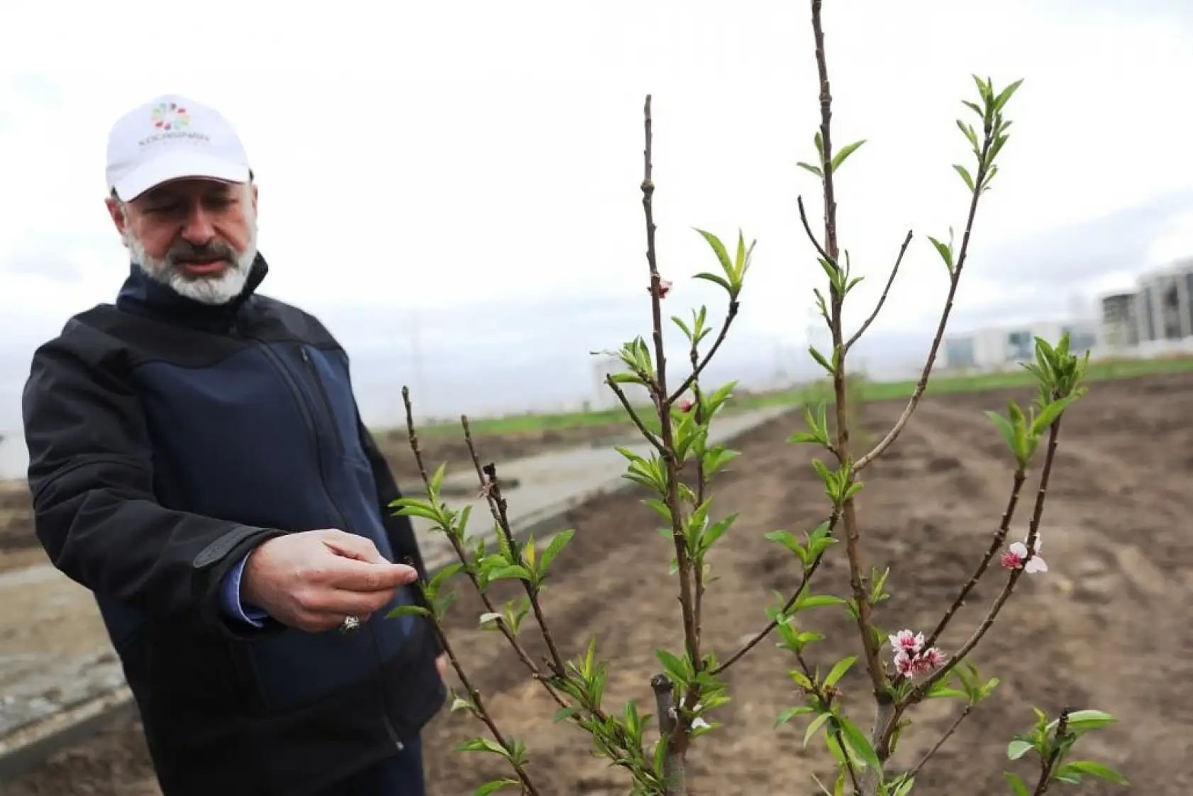 Kocasinan'dan 'meyveli park' projesi