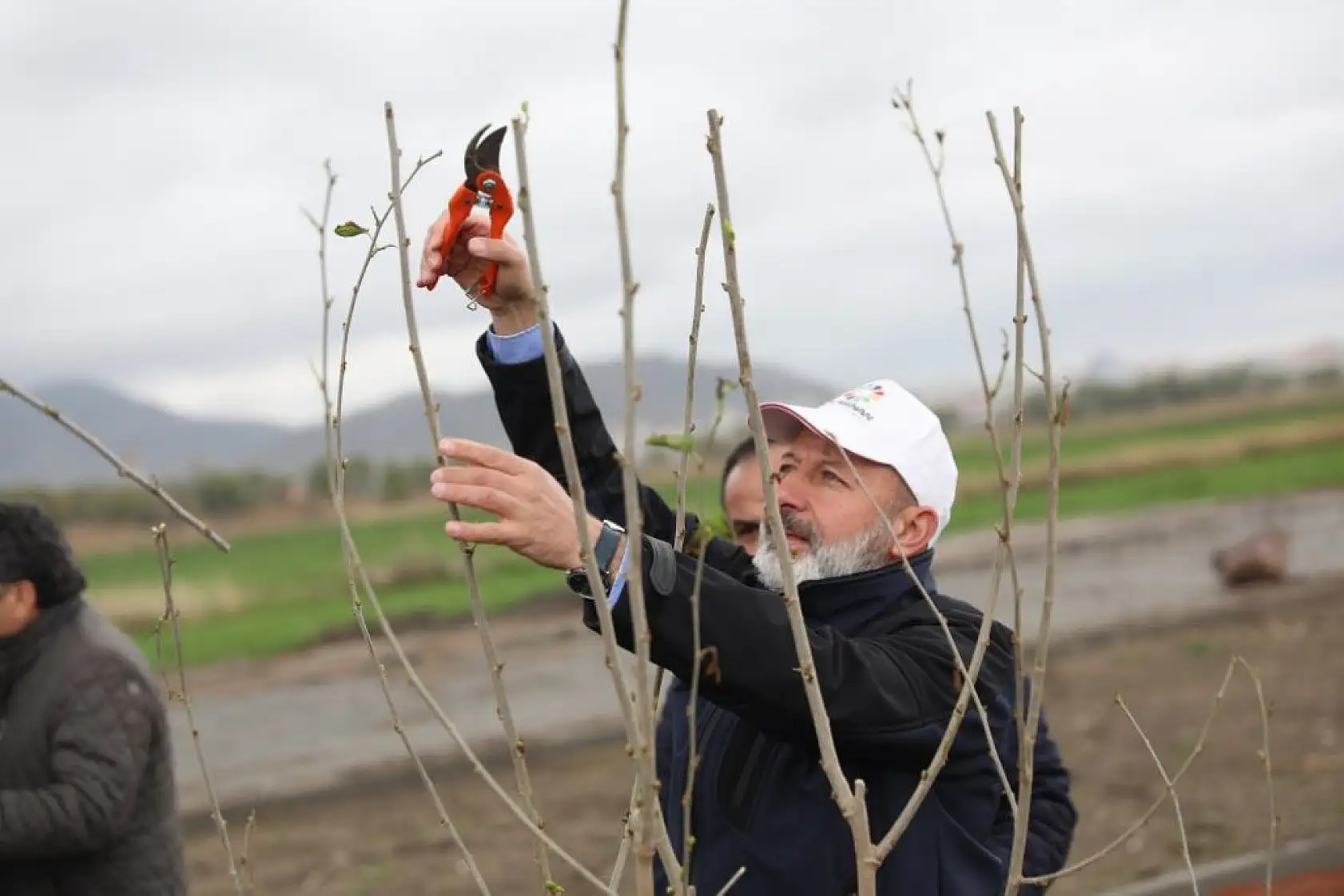 Kocasinan'dan 'meyveli park' projesi