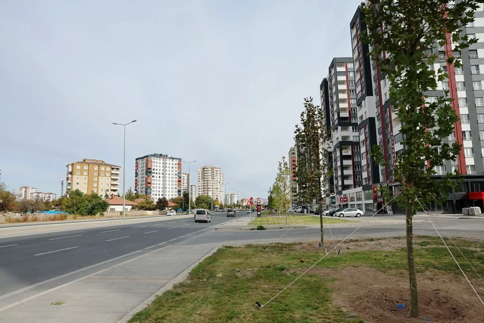 Kayseri'de sayı nüfusu ikiye katladı! Yeni rekor yolda