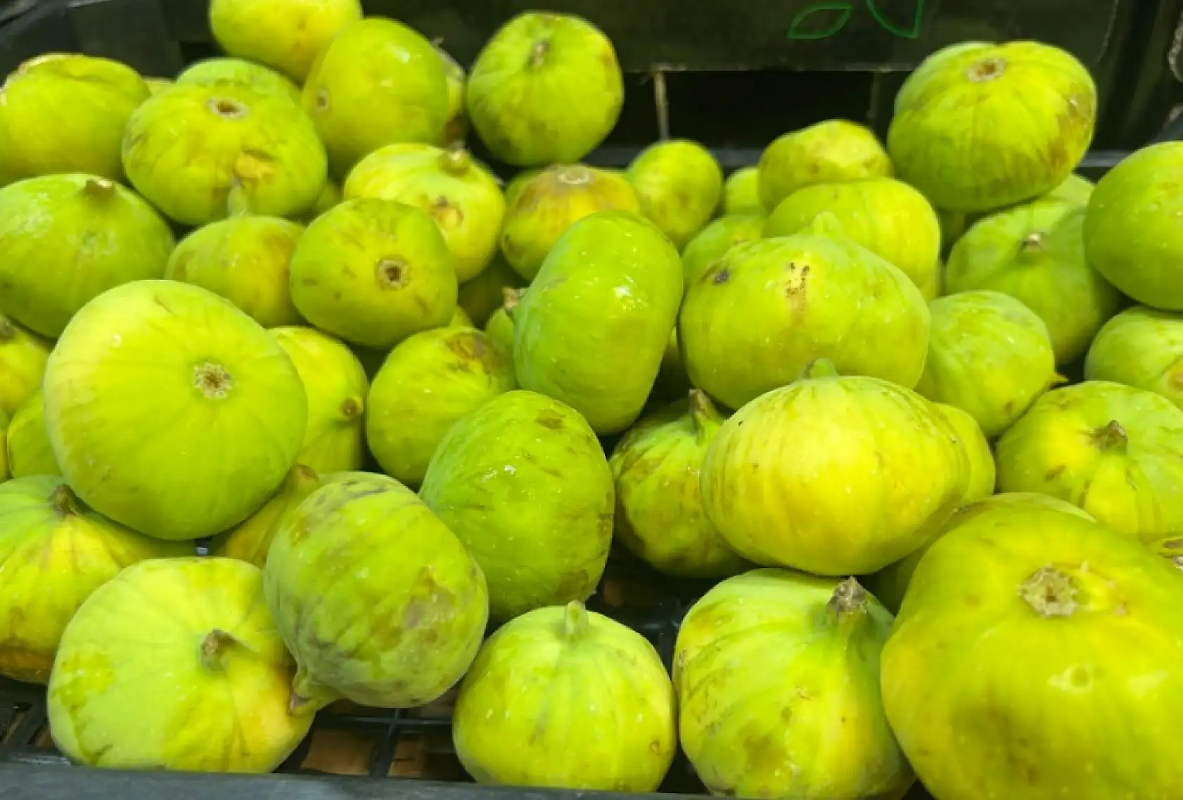 Kayseri'de tezgahta yerini aldı - Fiyatlar dudak uçuklattı! Tanesi 15 lira