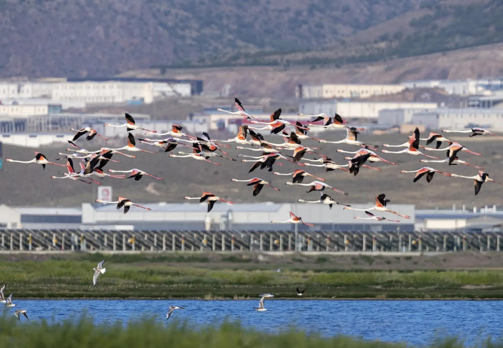 Kayseri'de festivale sayılı günler kaldı! İşte beklenen o tarih...