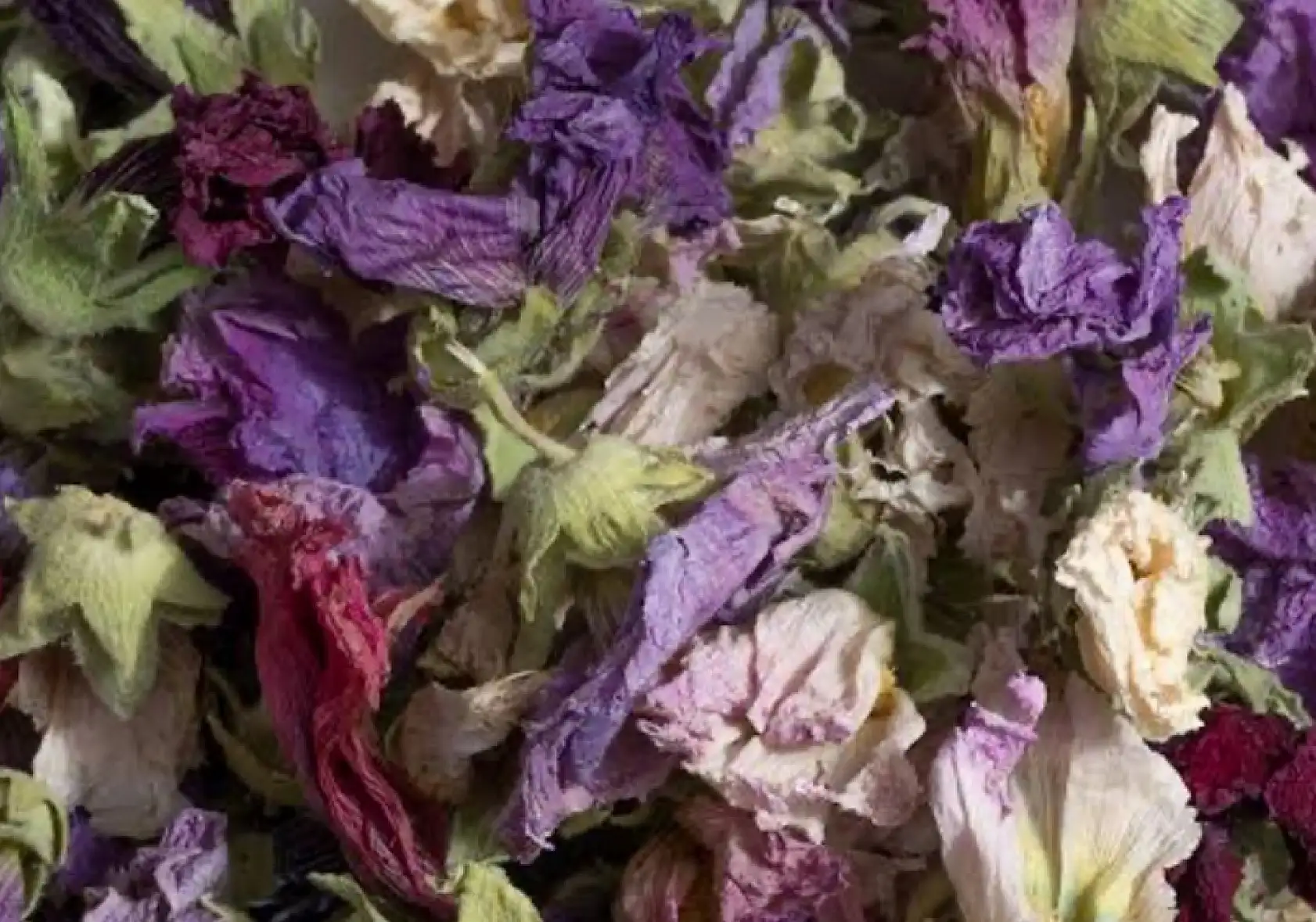 2020'nin Gözdesiydi, Şimdi Yüzüne Bakan Yok