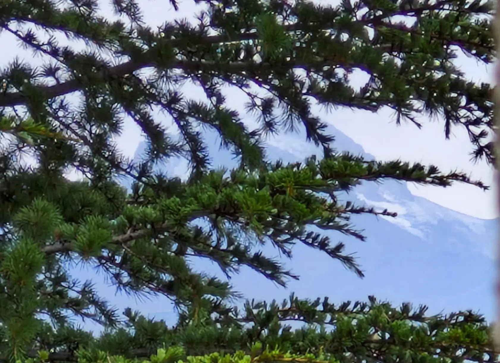 Kayseri'ye ilk kar yağdı!