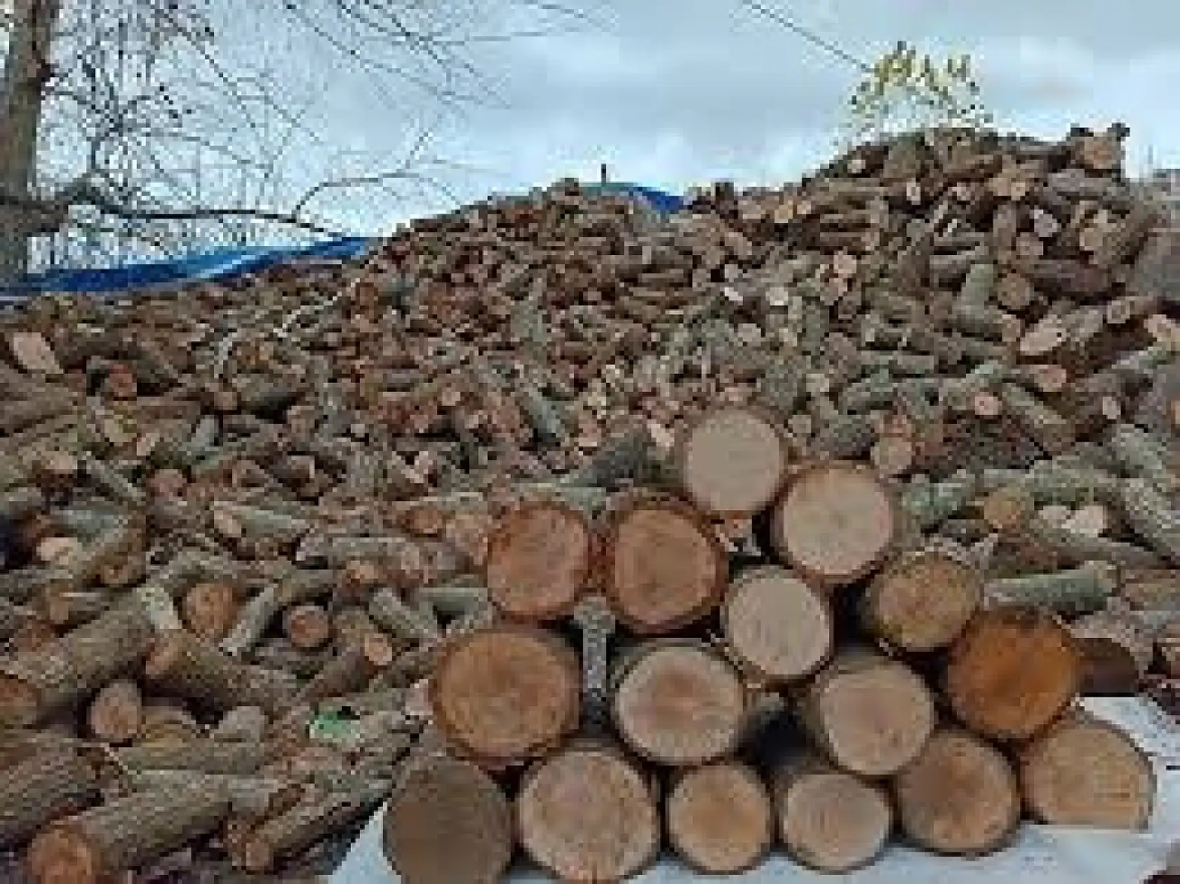 Kış kapıda! Odun kömür fiyatları ne durumda?