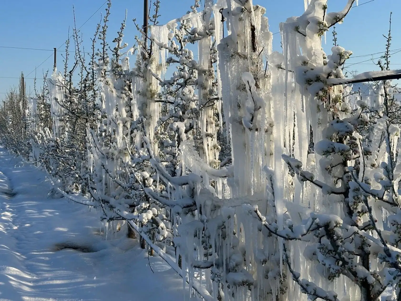 Kayseri'deki felaketin ardından rekor tazminat alacaklar!