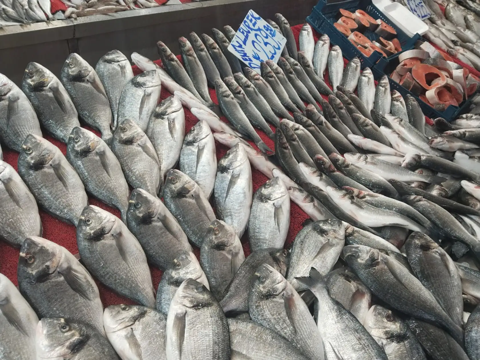 Şubat'ta hangi balıklar yenir? Şubat ayı bu balıkların ayı…