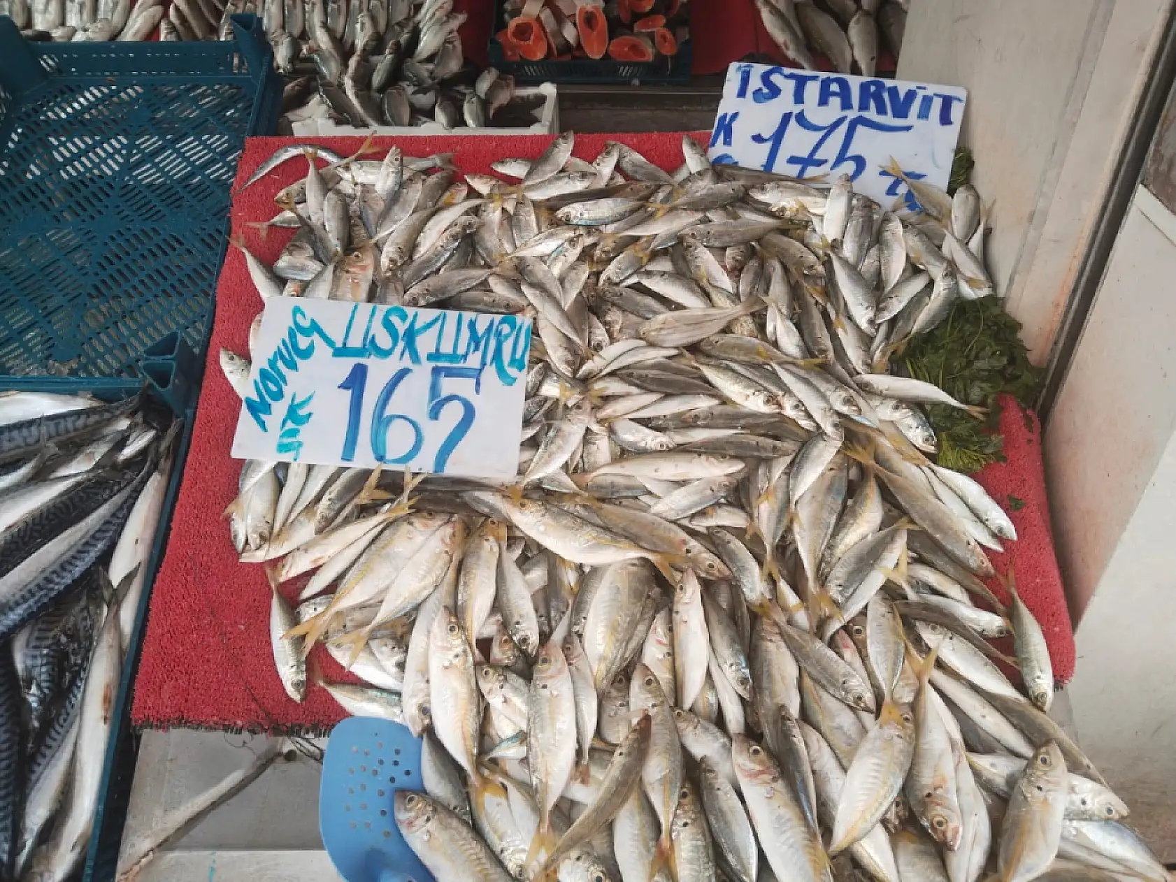 Şubat'ta hangi balıklar yenir? Şubat ayı bu balıkların ayı…