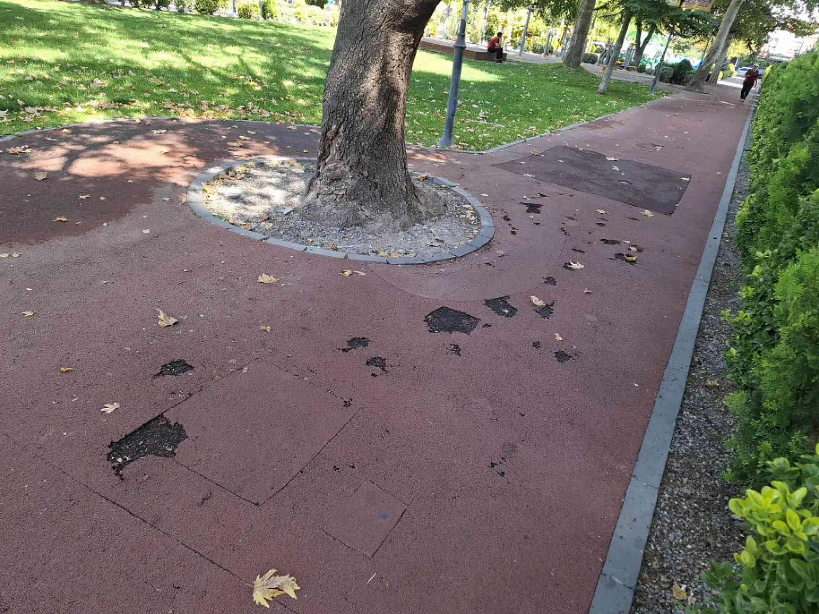 Kayseri'ye Yakışmayan Görüntüler Tepki Topluyor!