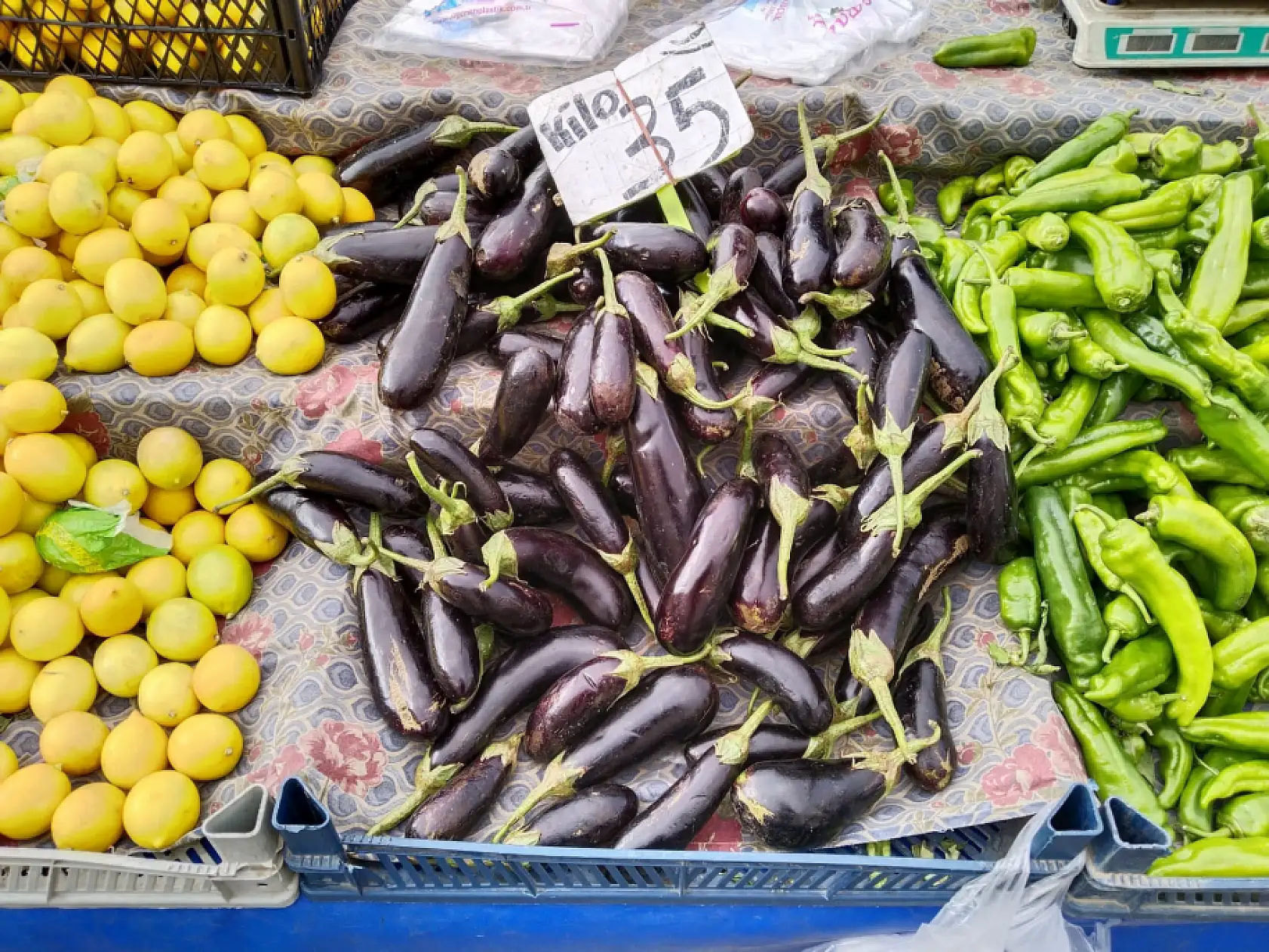 Kayseri'de patlıcan krizi – Bulunamıyor!