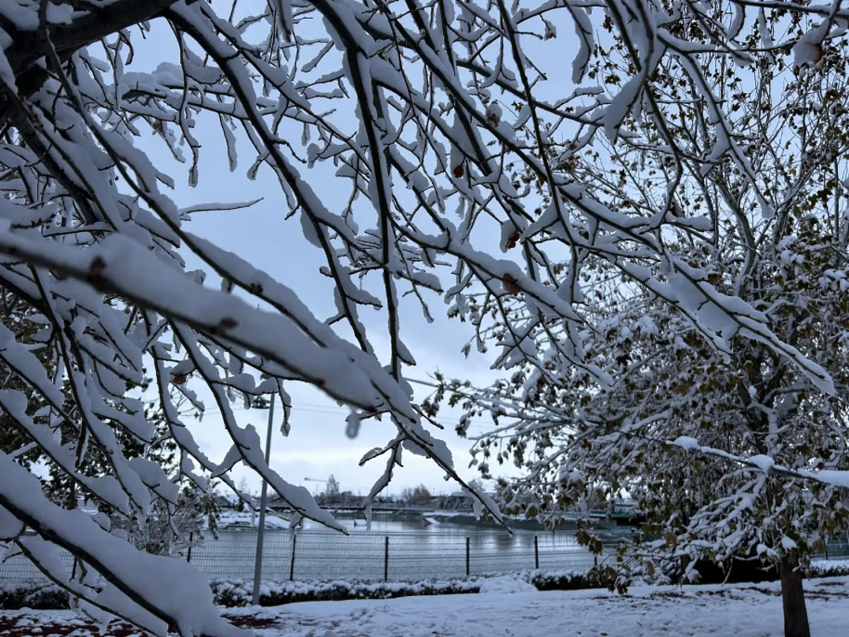 Bu görüntüler Kayseri'den…