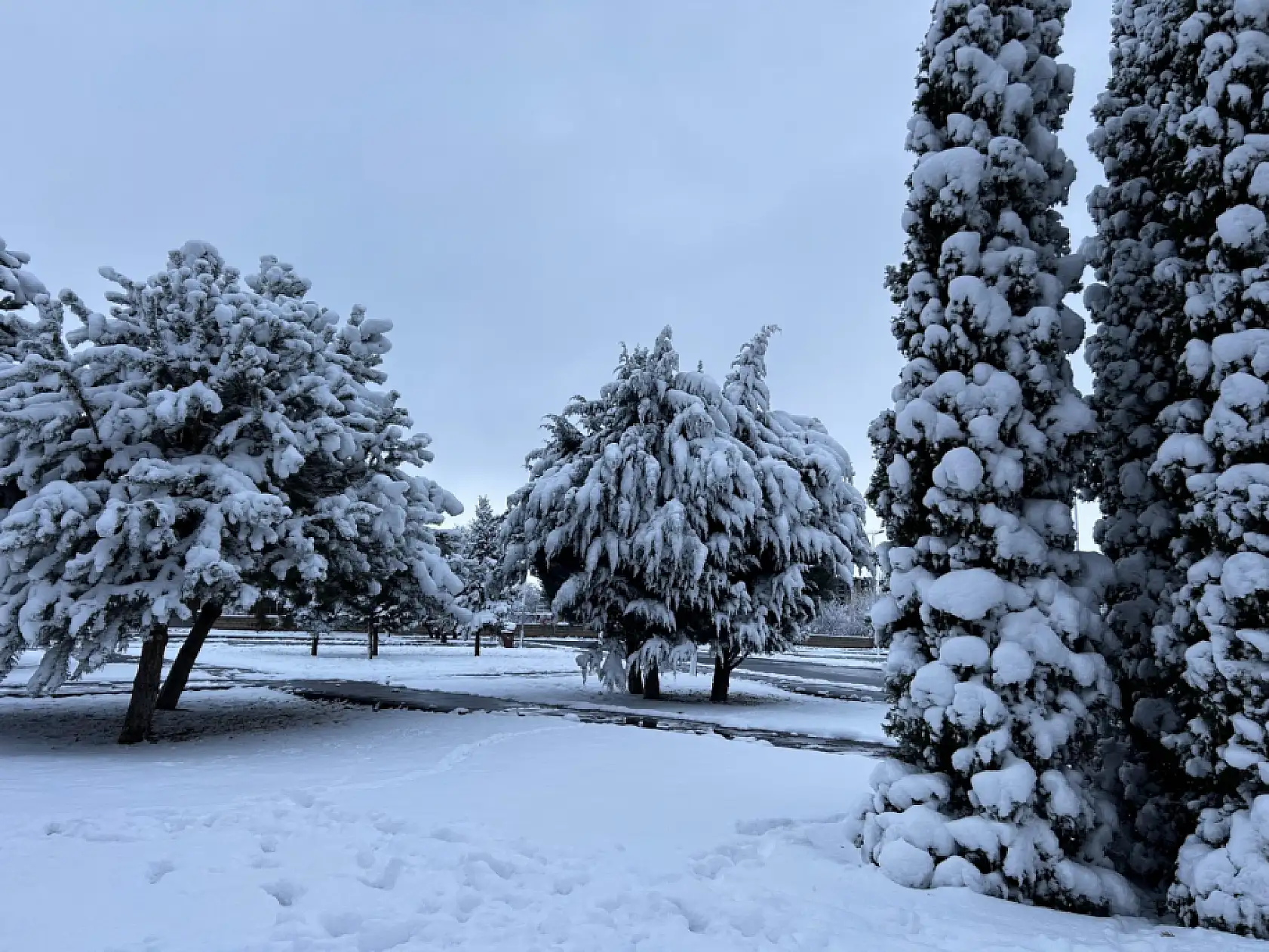 Bu görüntüler Kayseri'den…