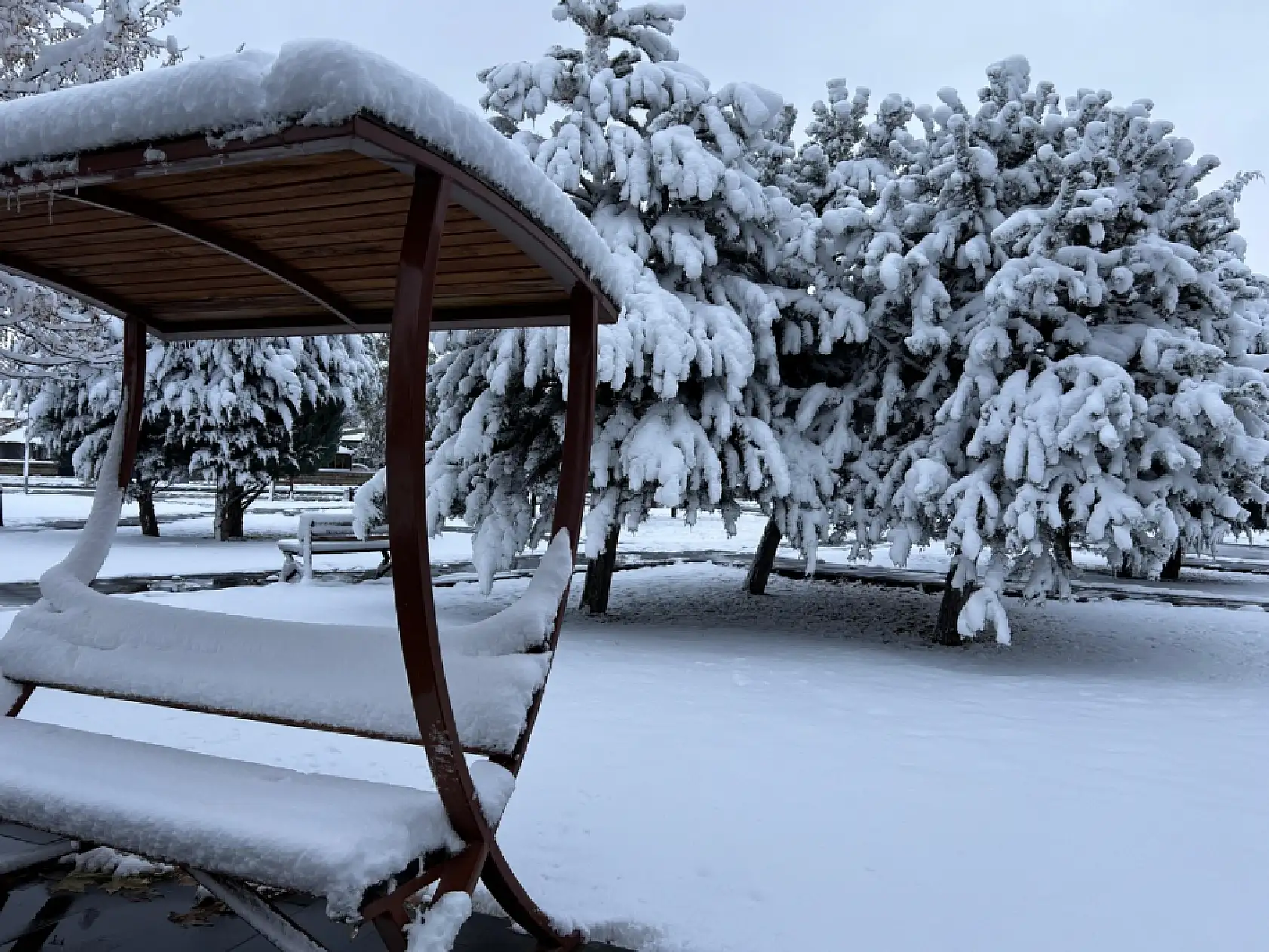 Bu görüntüler Kayseri'den…