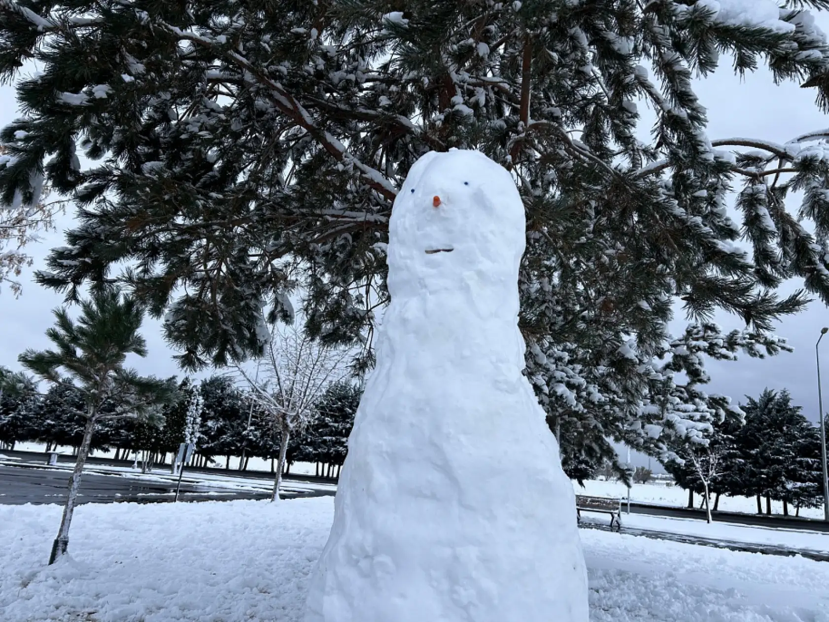 Bu görüntüler Kayseri'den…