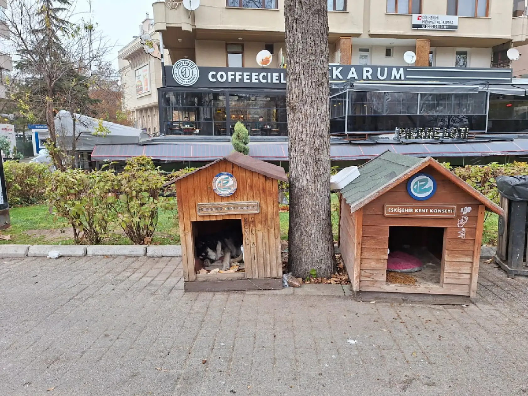 Eskişehir model oldu – Kayseri yetersiz kaldı