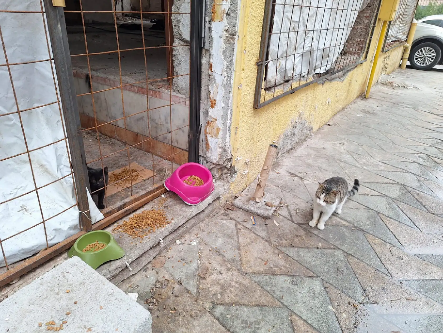 Eskişehir model oldu – Kayseri yetersiz kaldı