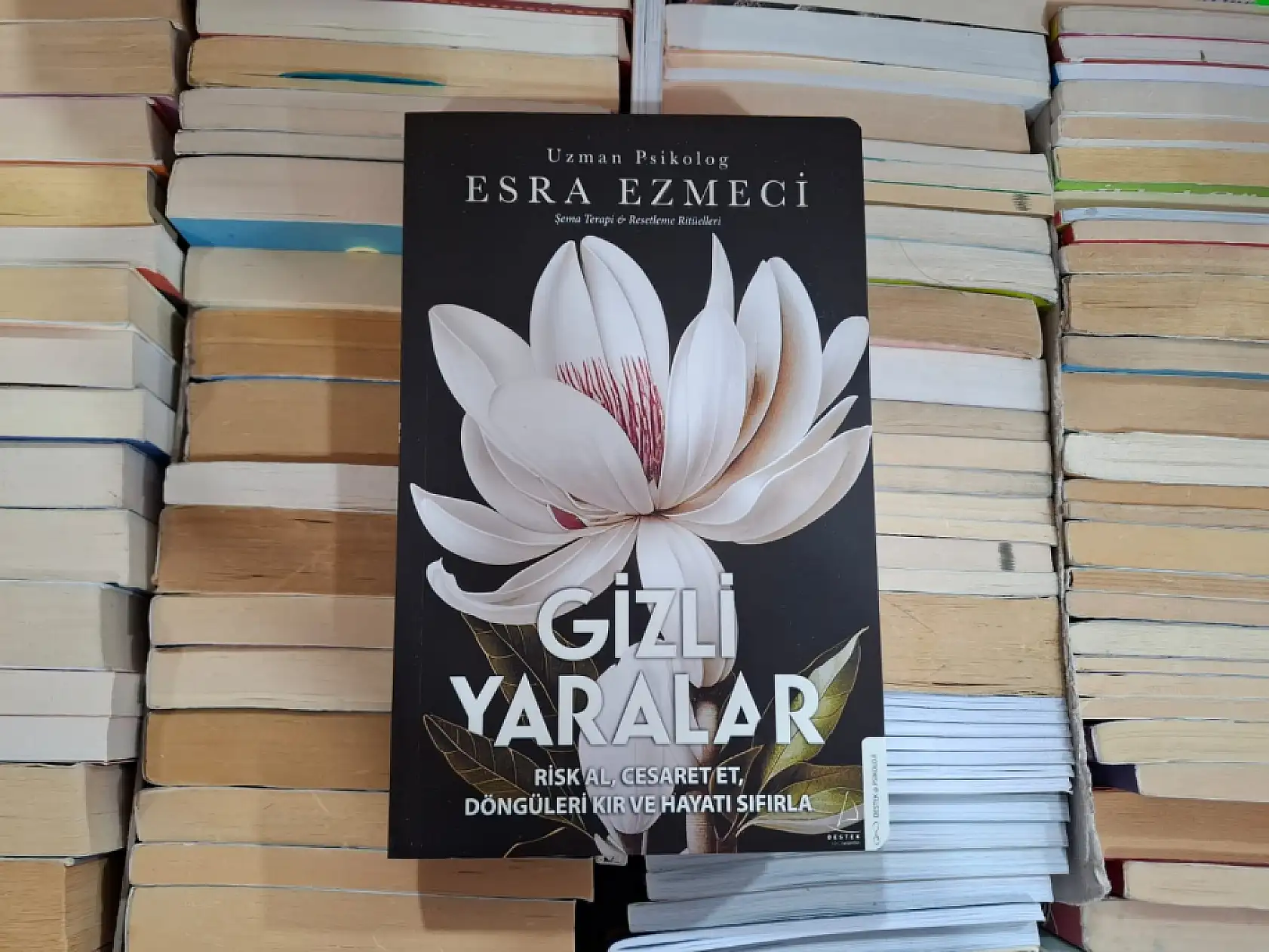 Mart ayının öne çıkan ''yeni'' kitapları