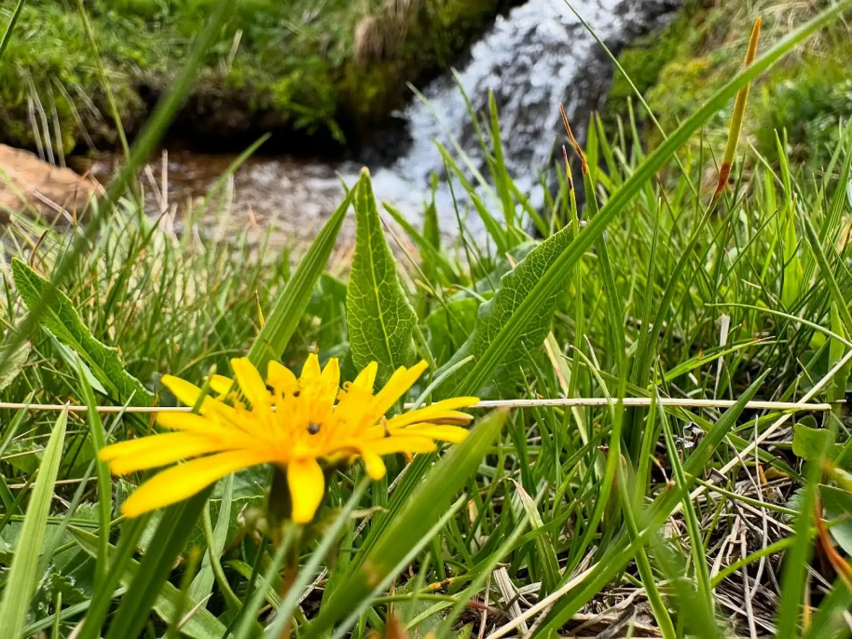 Kayak pistlerinden şelalelere! İşte detaylar..