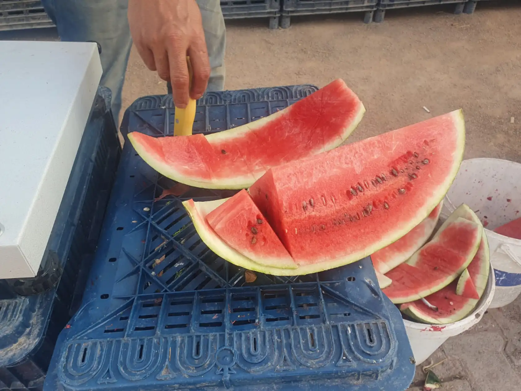 Kayseri'de kilosu 10-20 TL arasında: Bu yıl o meyveye doyacağız!